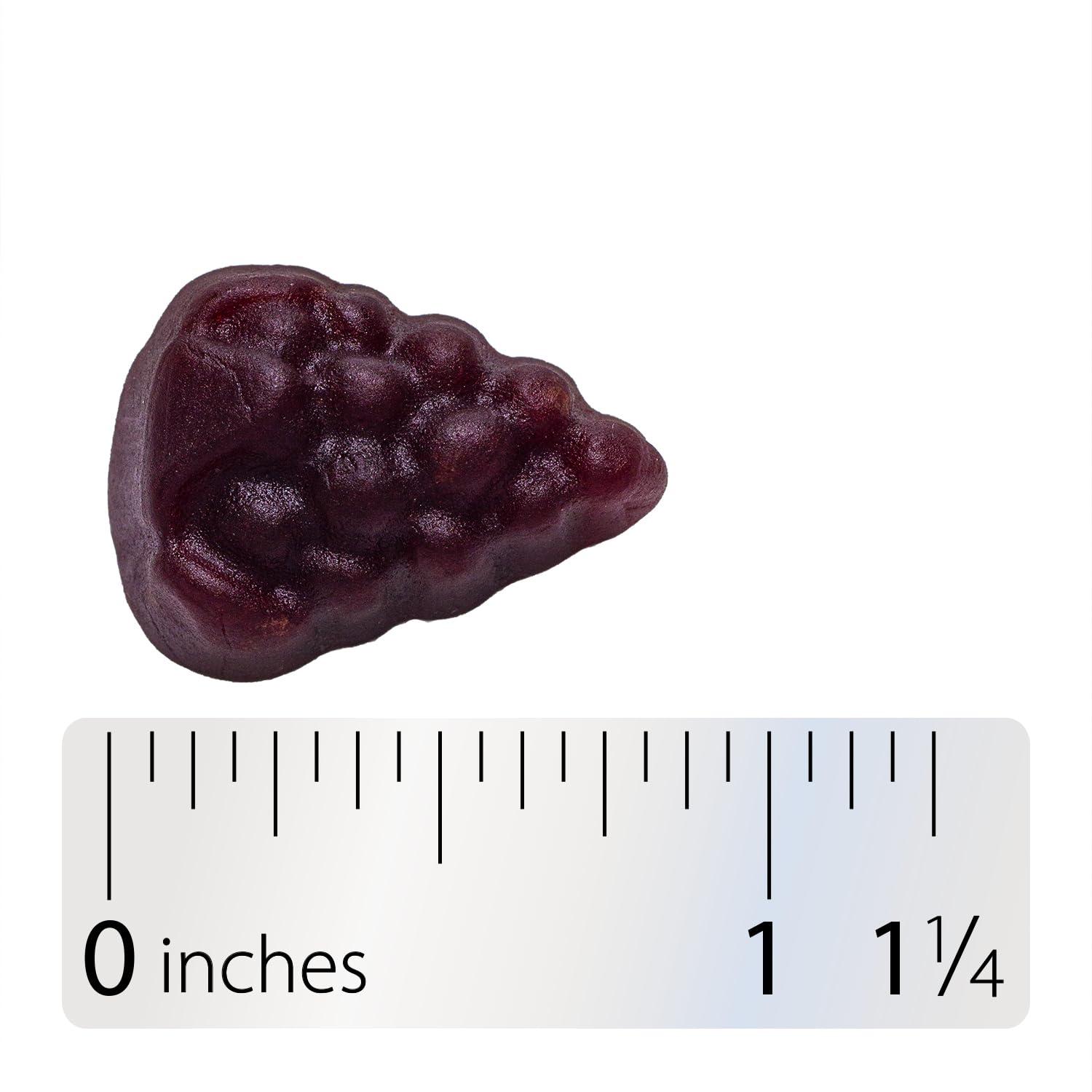 Nature’s Way Sambucus Elderberry Immune Gummies, Daily Immune Support for Kids and Adults*, with Vitamin C, Vitamin D3, Zinc, Gluten Free, Vegetarian, 60 Gummies - Image 9