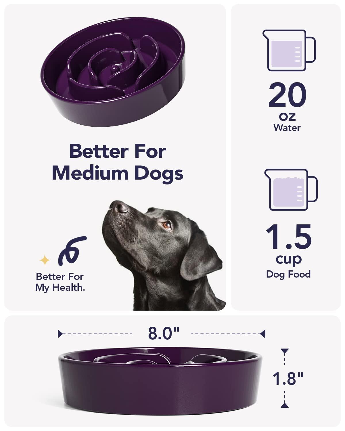 LE TAUCI Dog Bowls Slow Feeder Ceramic, 1.5 Cup Slow Feeding Bowl for Small and Medium Breed, Puzzle Dog Food Bowl for Fast Eater, Maze Purple - Image 5
