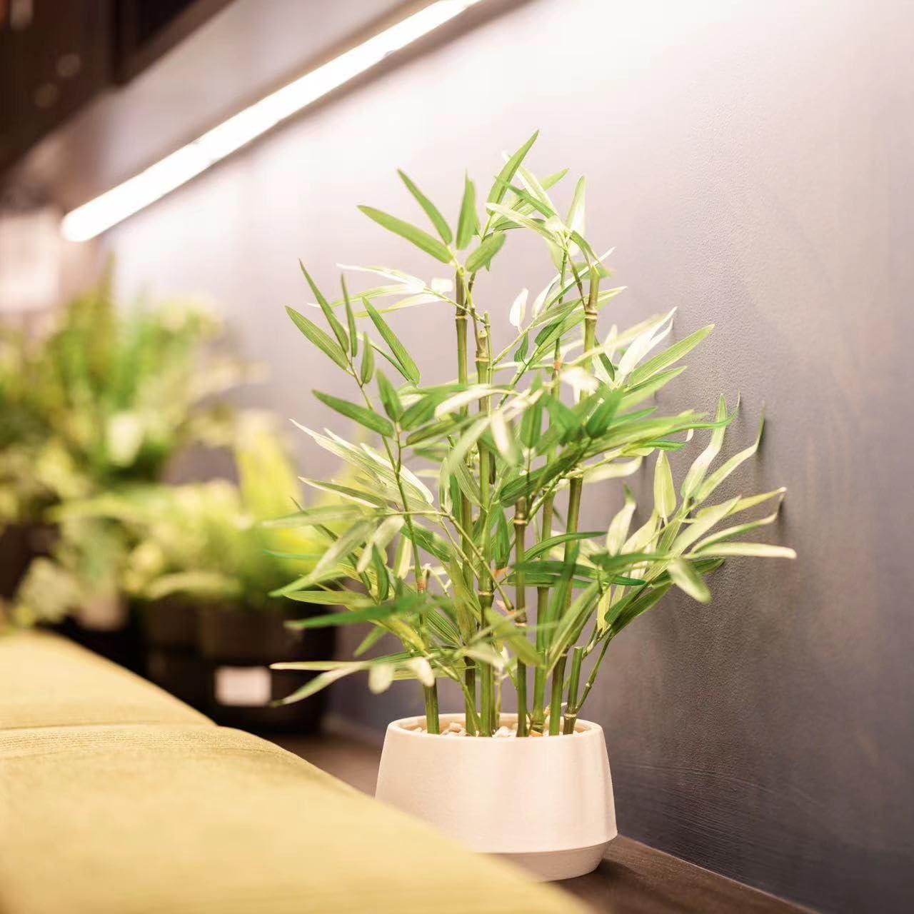 365 Blooming Decor 18 Inch Tall White Potted Faux Bamboo Plant - Luxury Artificial Bamboo in White Pot for Home, Office, Kitchen, Counter Top, Indoor Decor, Money Tree, Lucky Tree - Image 9