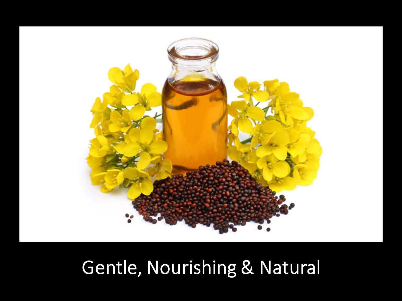 DAANA Mustard Oil for Skin: Certified USDA Organic, Extra Virgin, Cold Pressed (Fl Oz) - Image 6