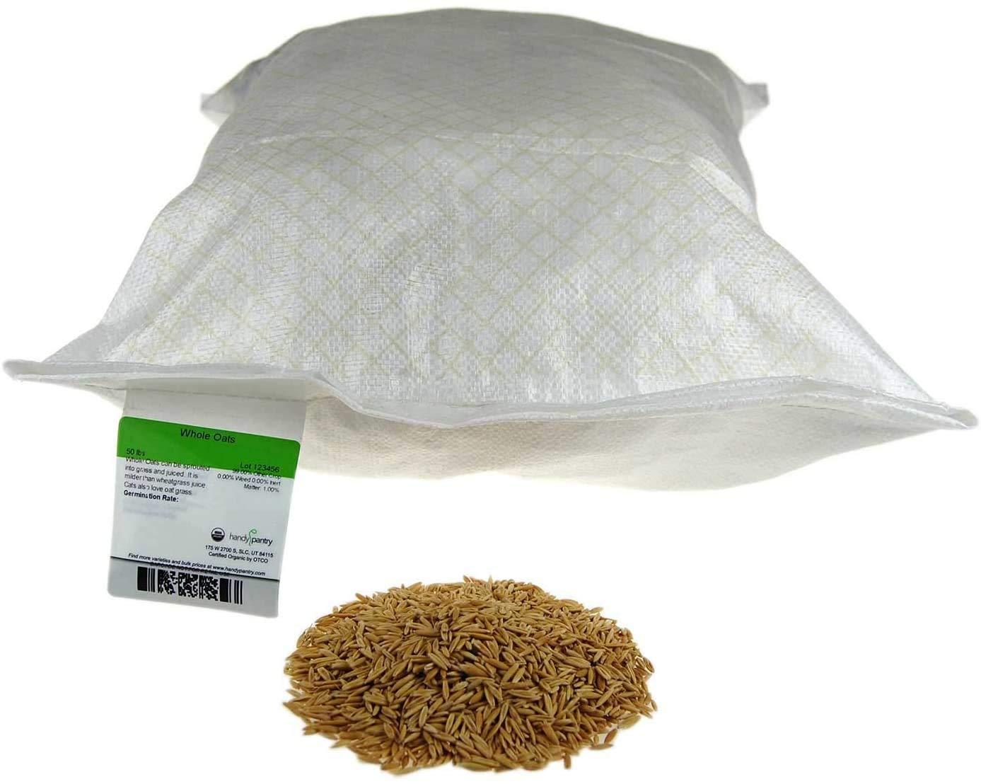 25 Lb Bulk Non-GMO Organic Whole Oat Groats (w/Husk) - Gluten Free Organic Oats - Whole Oats Organic for Sprouts, Steel Cut Oats Organic, Oat Berries, Oat Flour Organic, Oat Rice, and Livestock Feed