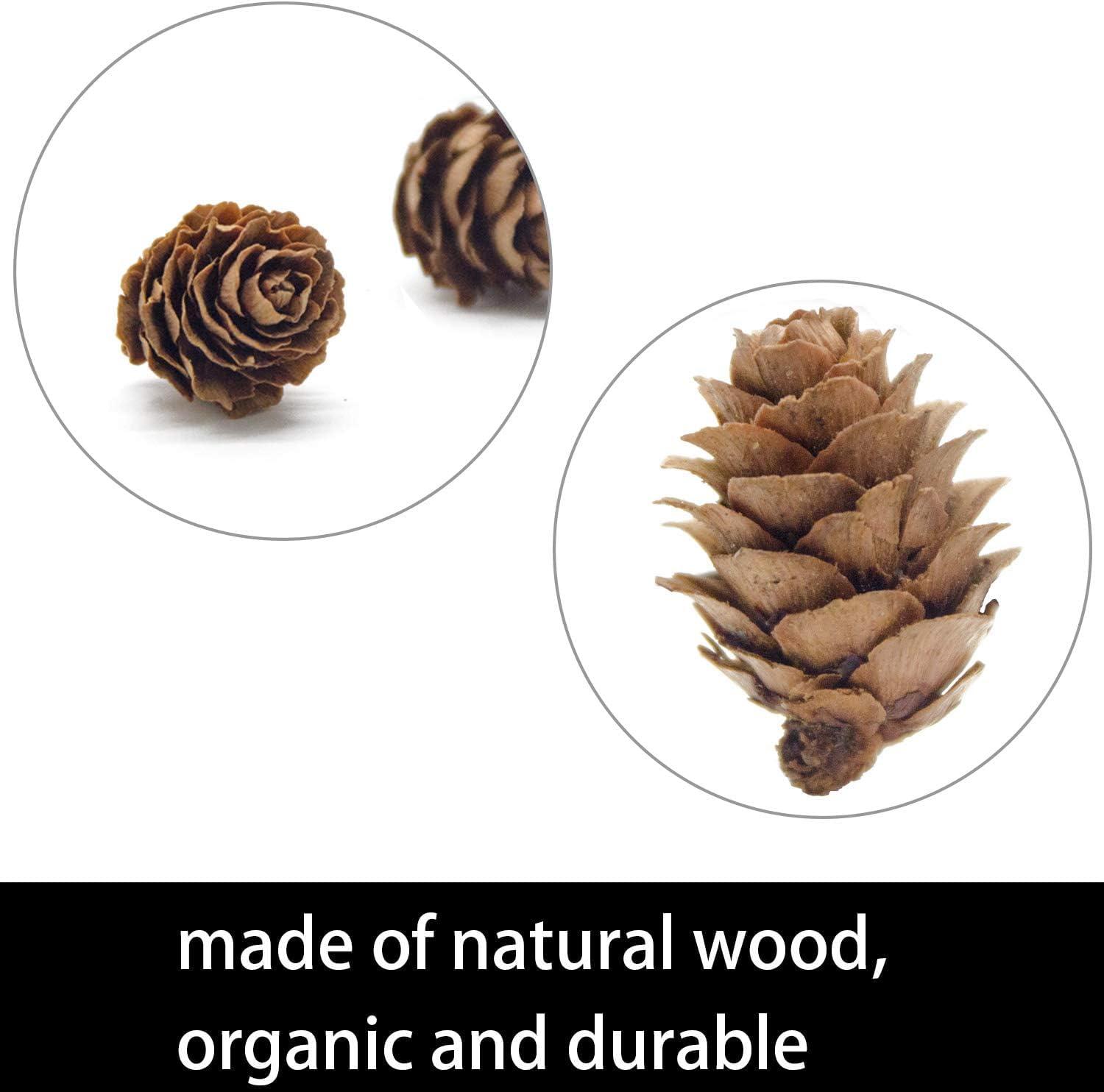 Deloky 150 Pcs Christmas Natural Mini Pine Cones- 2CM Thanksgiving Small Pinecones Ornaments Vase Fillers for DIY Crafts, Home Decorations, Fall and Christmas, Wedding Decor - Image 4
