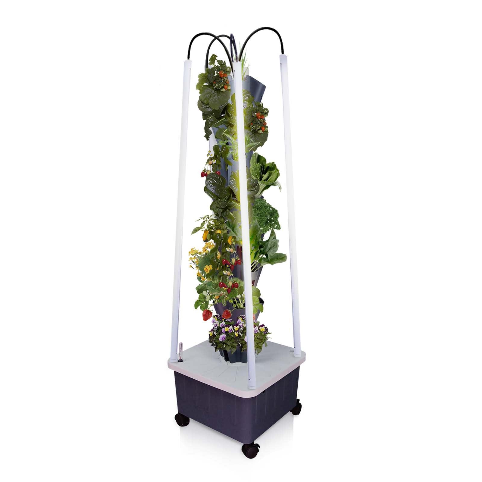 Hydroponic Growing System with Grow Lights, Indoor Gardening System, Grow Plant Food at Home with 40 Pieces at a time for Fruits, Vegetables, Herbs, and Miniature Greens (No Seedlings Included) - Image 2