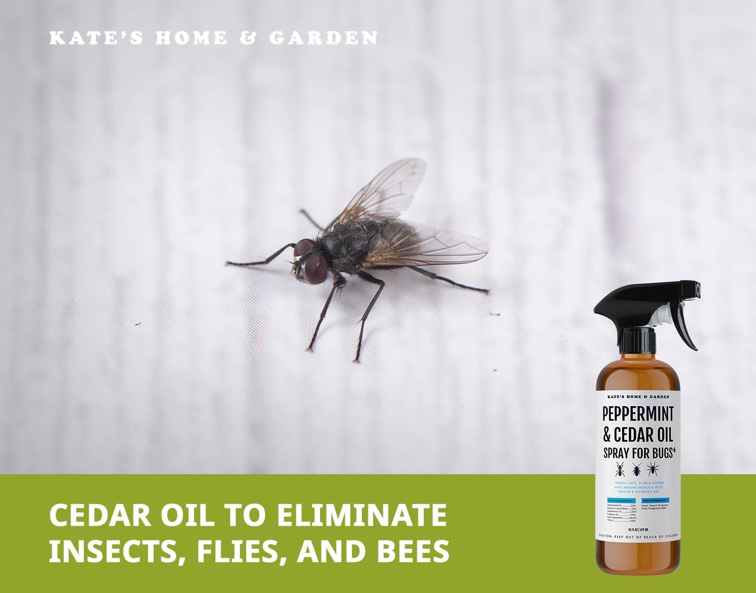 Kate's Home & Garden Peppermint Oil Spray for Bugs, Insects, Spiders. Indoor Repellent Pest Control with Cedarwood Oil (16oz, Natural, Non Toxic) - Image 5
