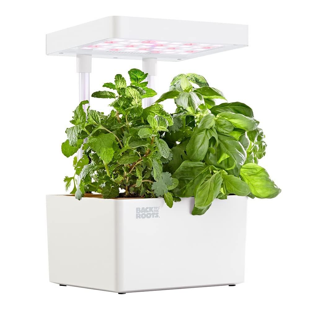 Back to the Roots Hydroponic Grow Kit, Indoor Garden with Light (Matte White), Organic Seeds Included, Gardening Gift, Everything Included
