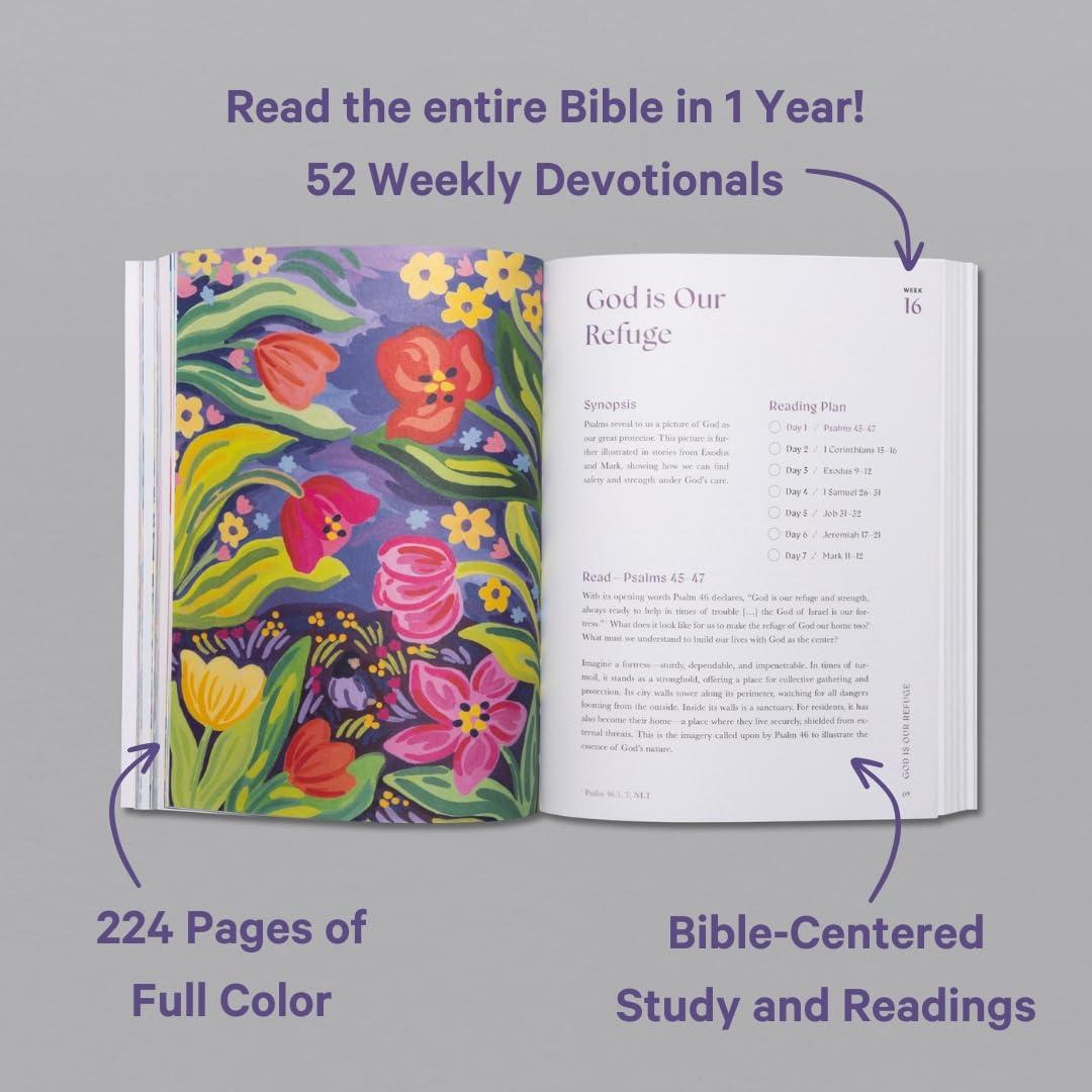 A Beautiful Year in the Bible: The 52-Week Bible Study for Women - Image 2