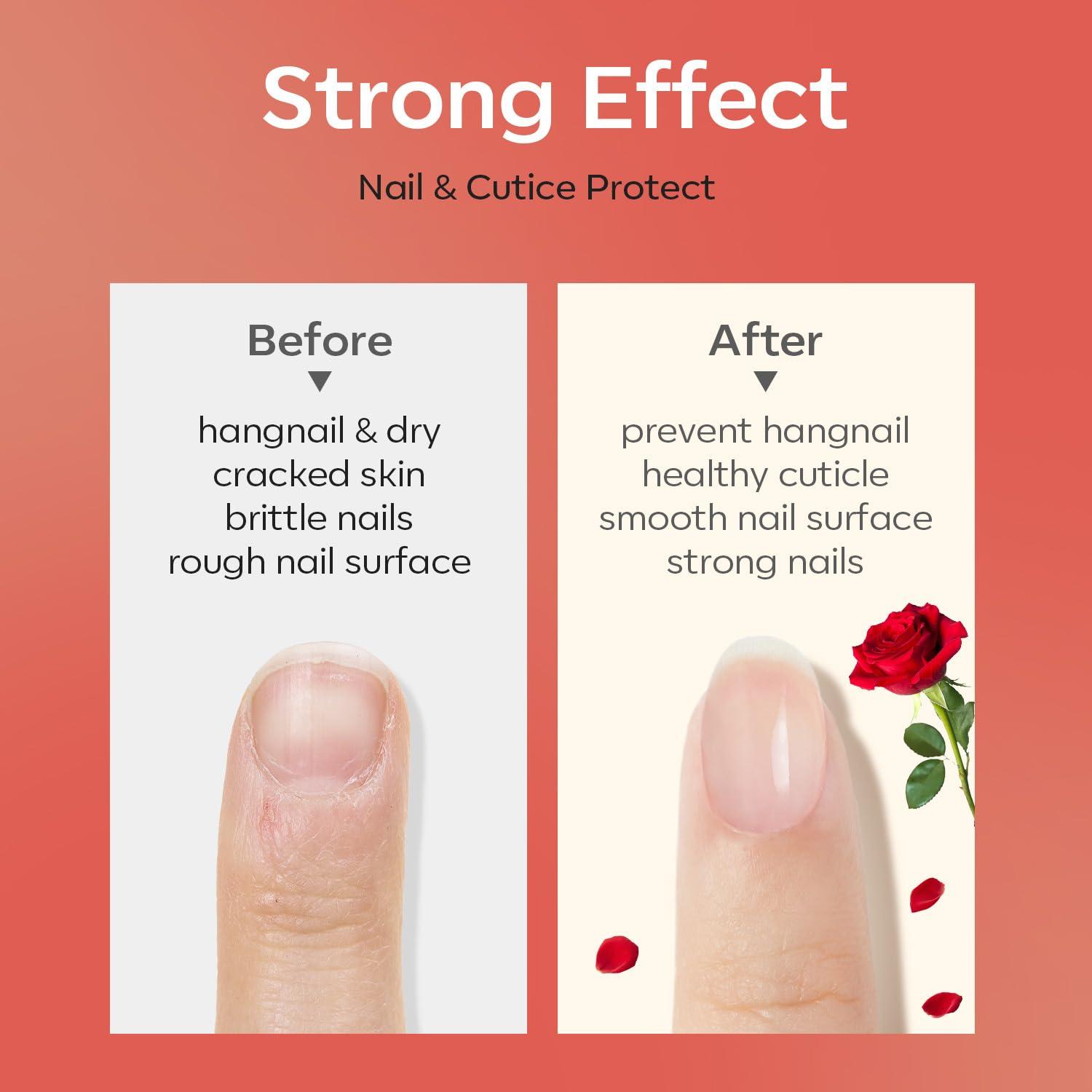modelones Cuticle Oil for Nails Rose Nail Oil for Growth and Strength Nail Growth Oil Cuticle Care Quick Dry Nail Care Moisturize and Strengthen Damaged Nails 15ml 0.5Fl Oz - Image 2