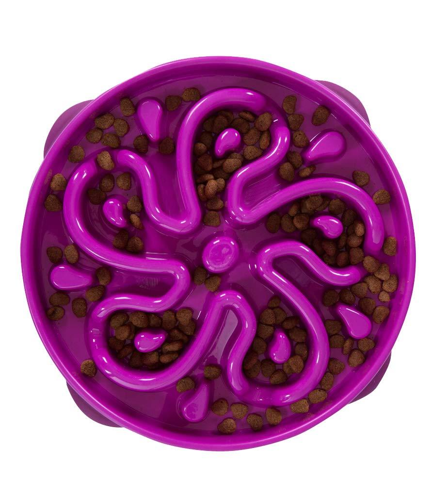 Outward Hound Fun Feeder Slo Bowl, Large Slow Feeder Dog Bowl, 4 Cups, Purple