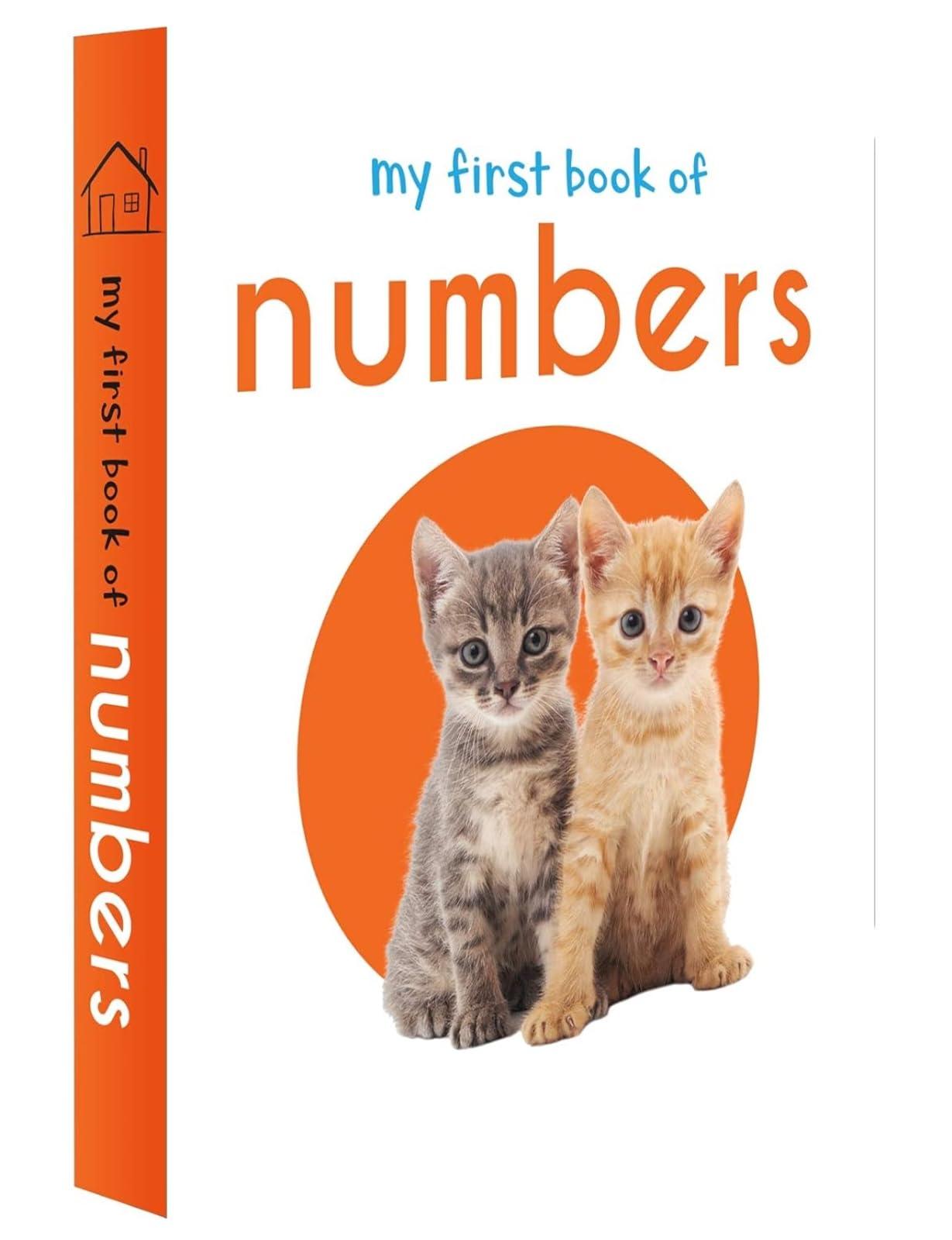 My First Library: Boxset of 10 Board Books for Kids - Image 5