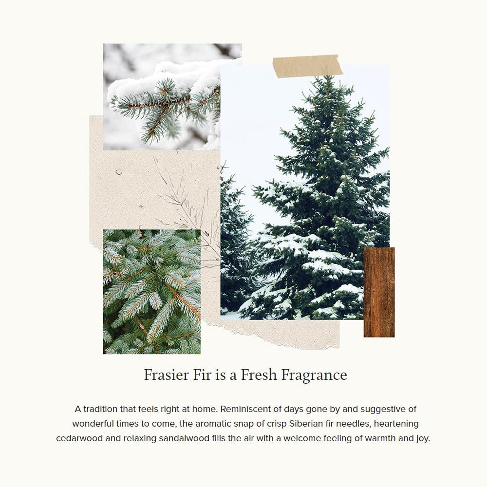 Thymes Frasier Fir Pine Needle Candle – Holiday Candles for Home Scented with Notes of Crisp Siberian Fir, Cedarwood & Sandalwood – Christmas Decor – Christmas Gifts for Women & Men (6.5 oz) - Image 3