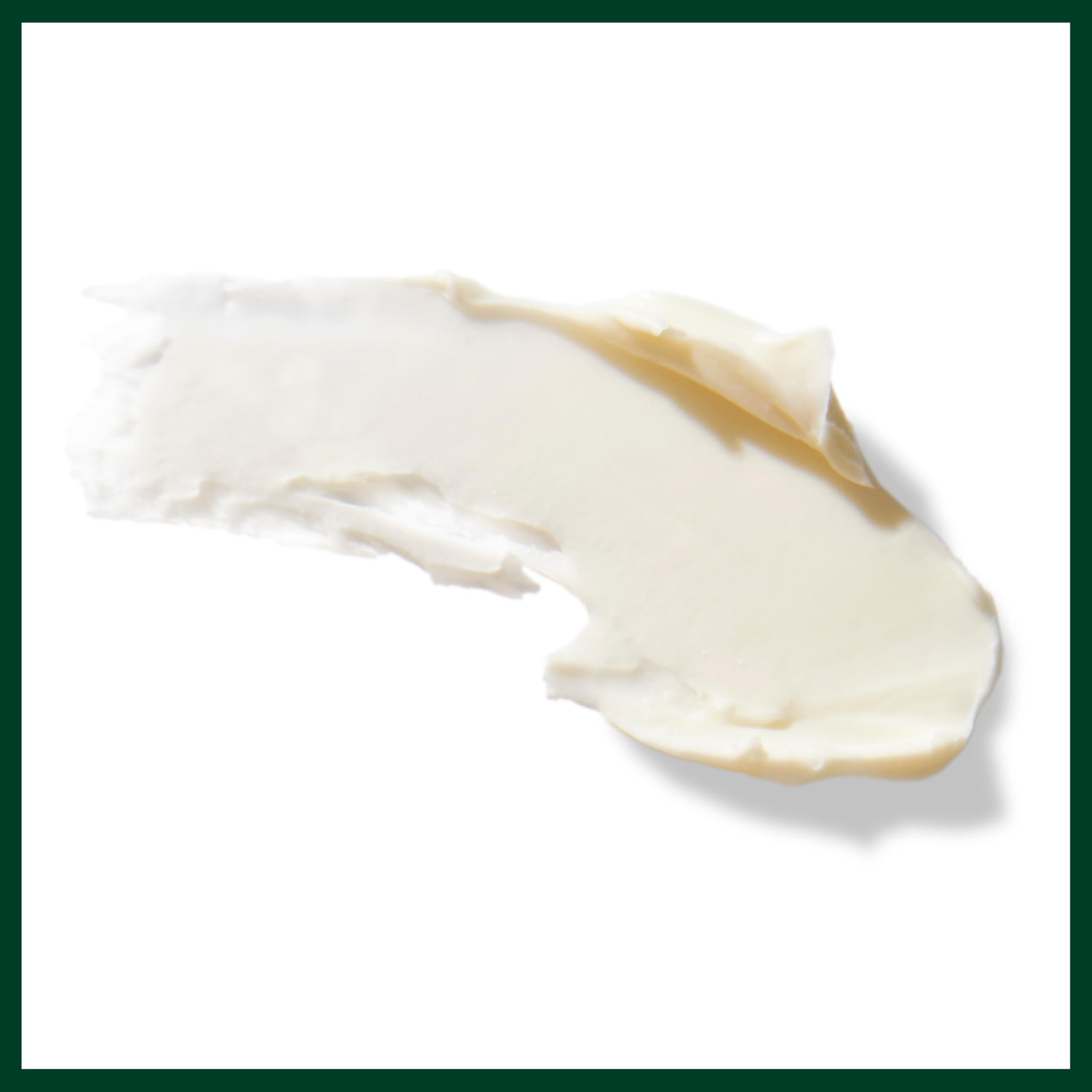Aveda Men Pure-Formance Grooming Clay | Strong Hold | Matte Finish | Lightweight, 2.5 Ounce - Image 5