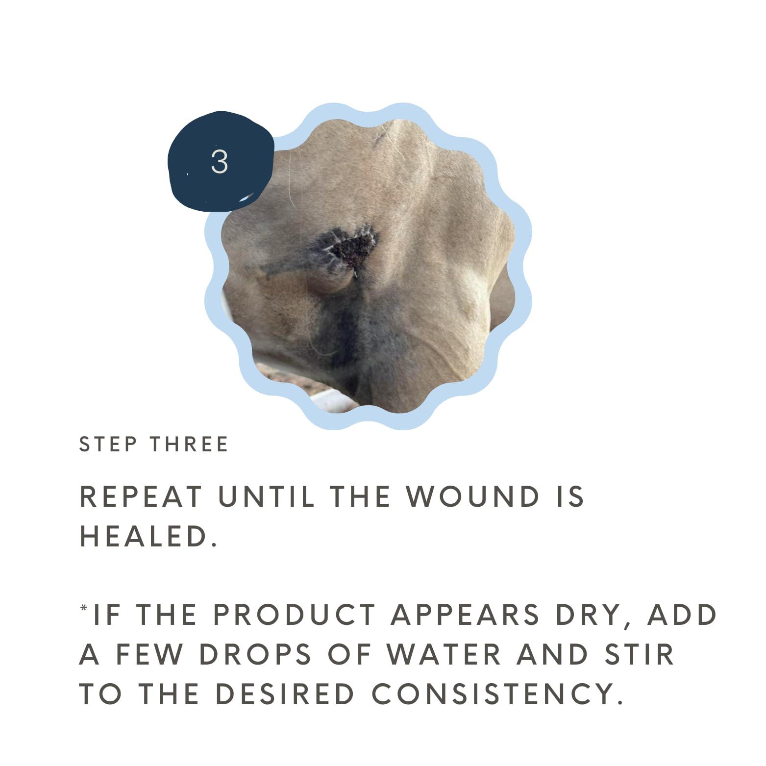 Wound Salve - for Horses, Pets, Livestock & People - Calendula, Shields Abrasions, Stops Infections, Promotes Scabbing, Reduces Inflammation & Scarring, Vet-Approved - Bev's Magic Salve (6 oz) - Image 6