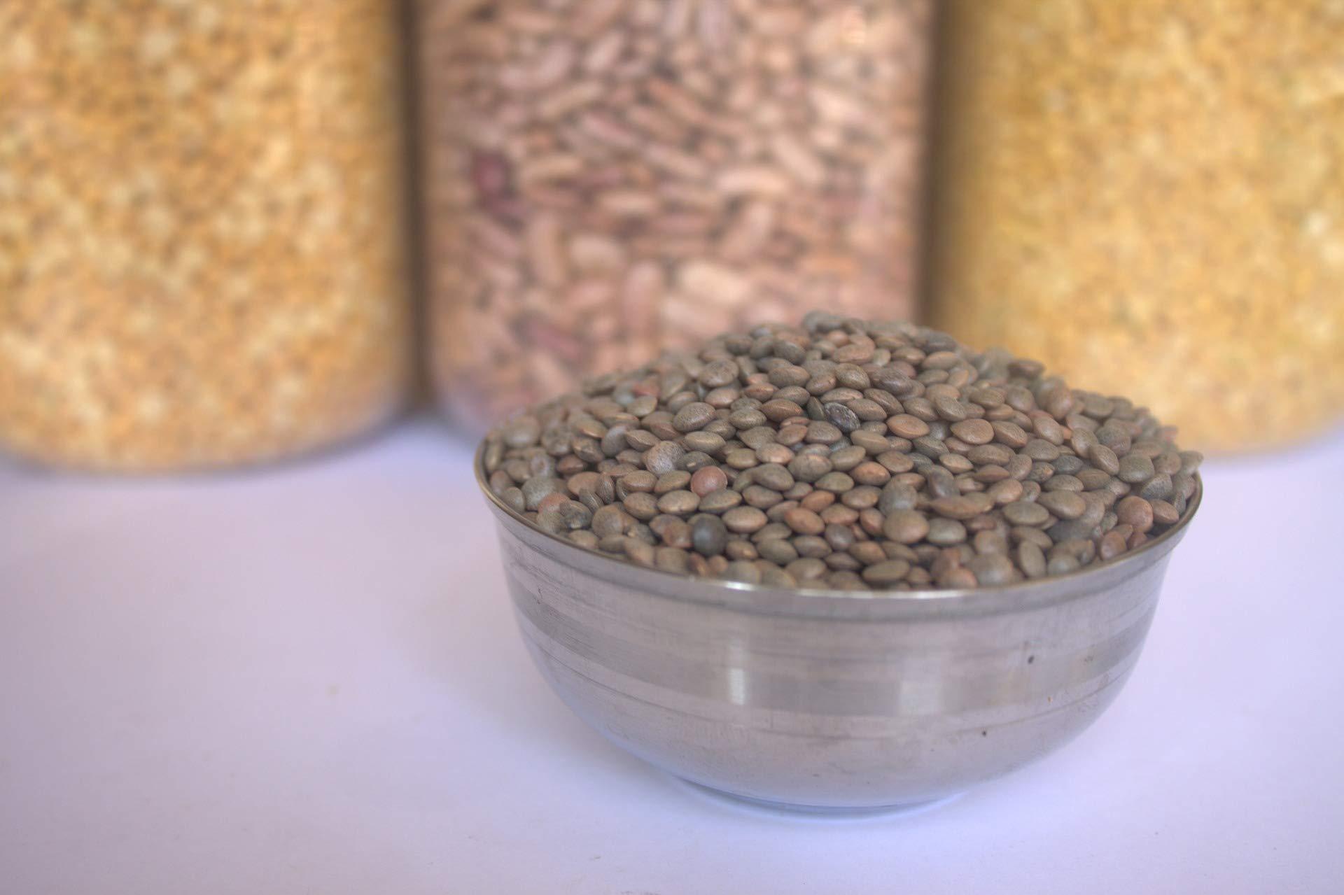 Zaiqa Pardina Brown Lentils or Whole Spanish Lentils | Make Kitchari, Vegan Soups, Stews, Salads & Indian Curry With Unique Nutty Flavor | Naturally Non-GMO, Nutritious & Pacific Northwest Grown - 2 LBS - Image 7