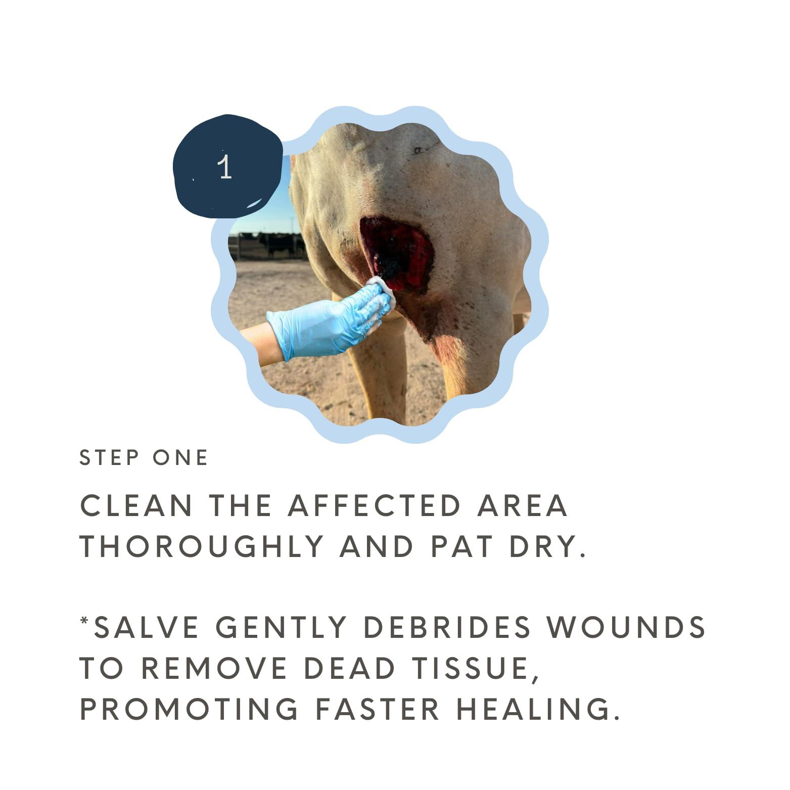 Wound Salve - for Horses, Pets, Livestock & People - Calendula, Shields Abrasions, Stops Infections, Promotes Scabbing, Reduces Inflammation & Scarring, Vet-Approved - Bev's Magic Salve (6 oz) - Image 4