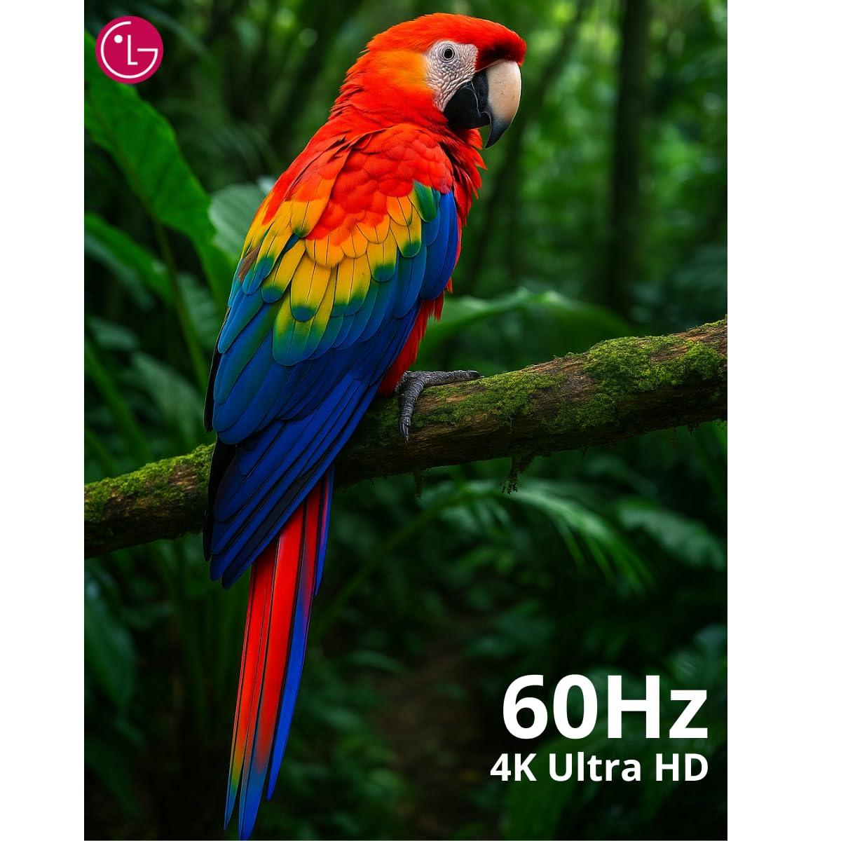 LG 43-Inch Class 4K 2160p LED WebOS Smart TV HDR10 Game Optimizer Compatible with Alexa & Google Assistant 43UQ7070Z (Renewed) - Image 4