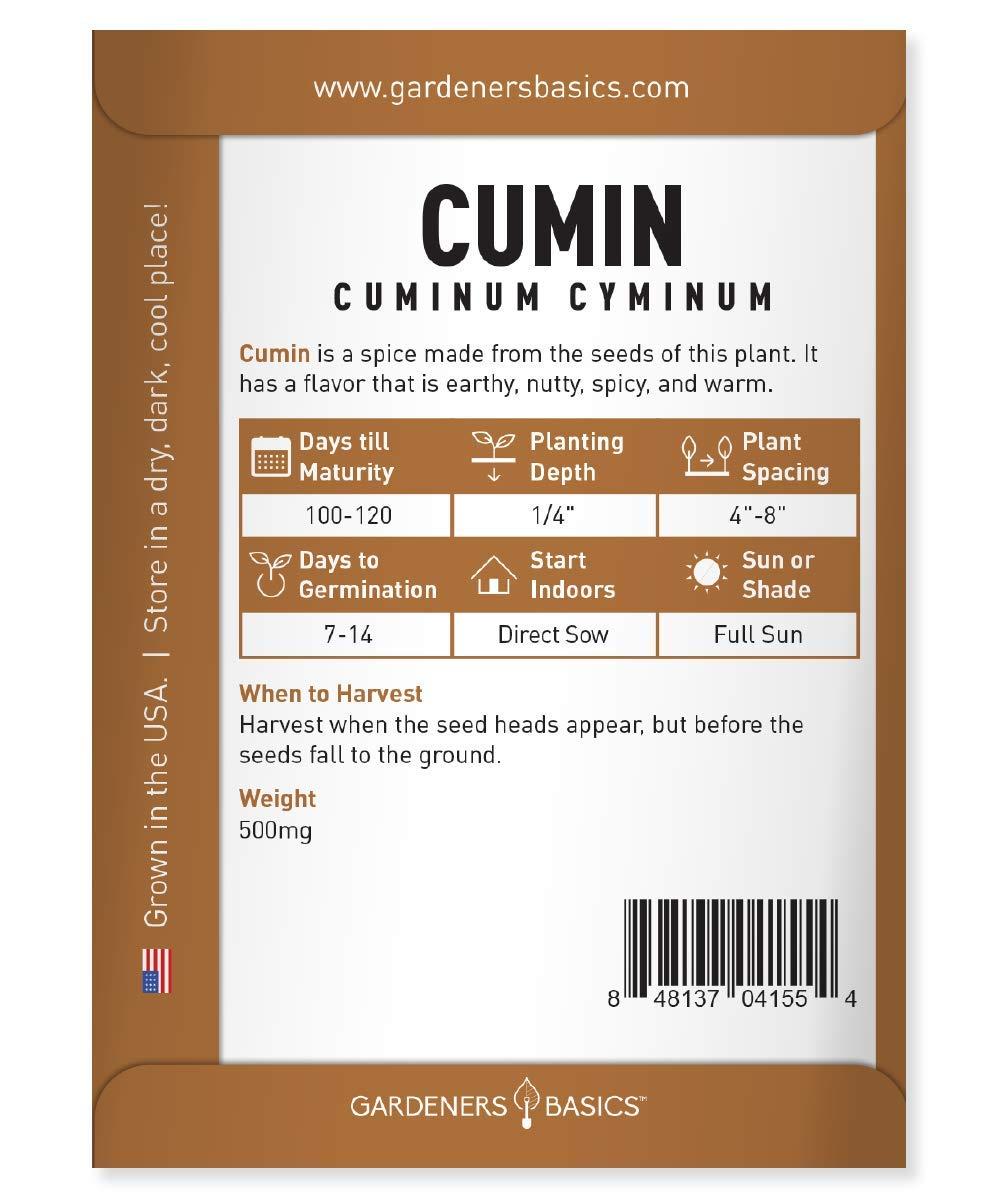 Gardeners Basics, Cumin Seeds for Planting is A Heirloom, Non-GMO Herb Variety- Cuminum Cyminum Herb Seeds Great for Indoor and Outdoor Gardening - Image 2