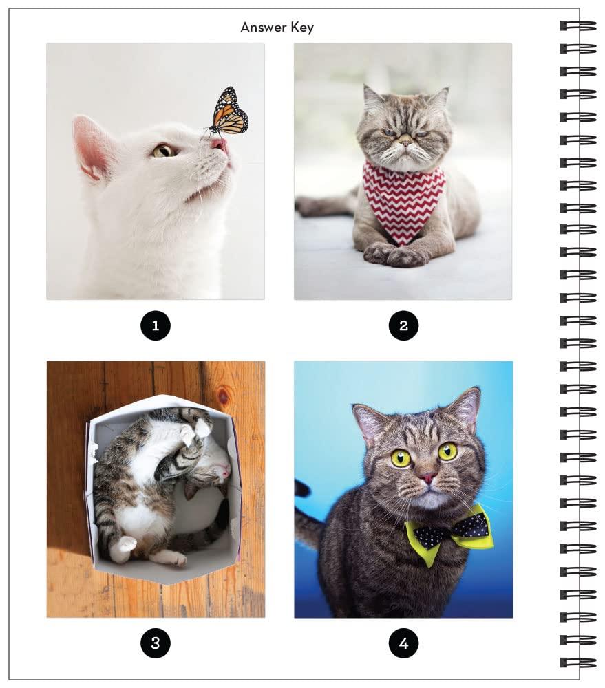 Brain Games - Sticker by Number: Cat-itude (25 Images to Sticker) - Image 4