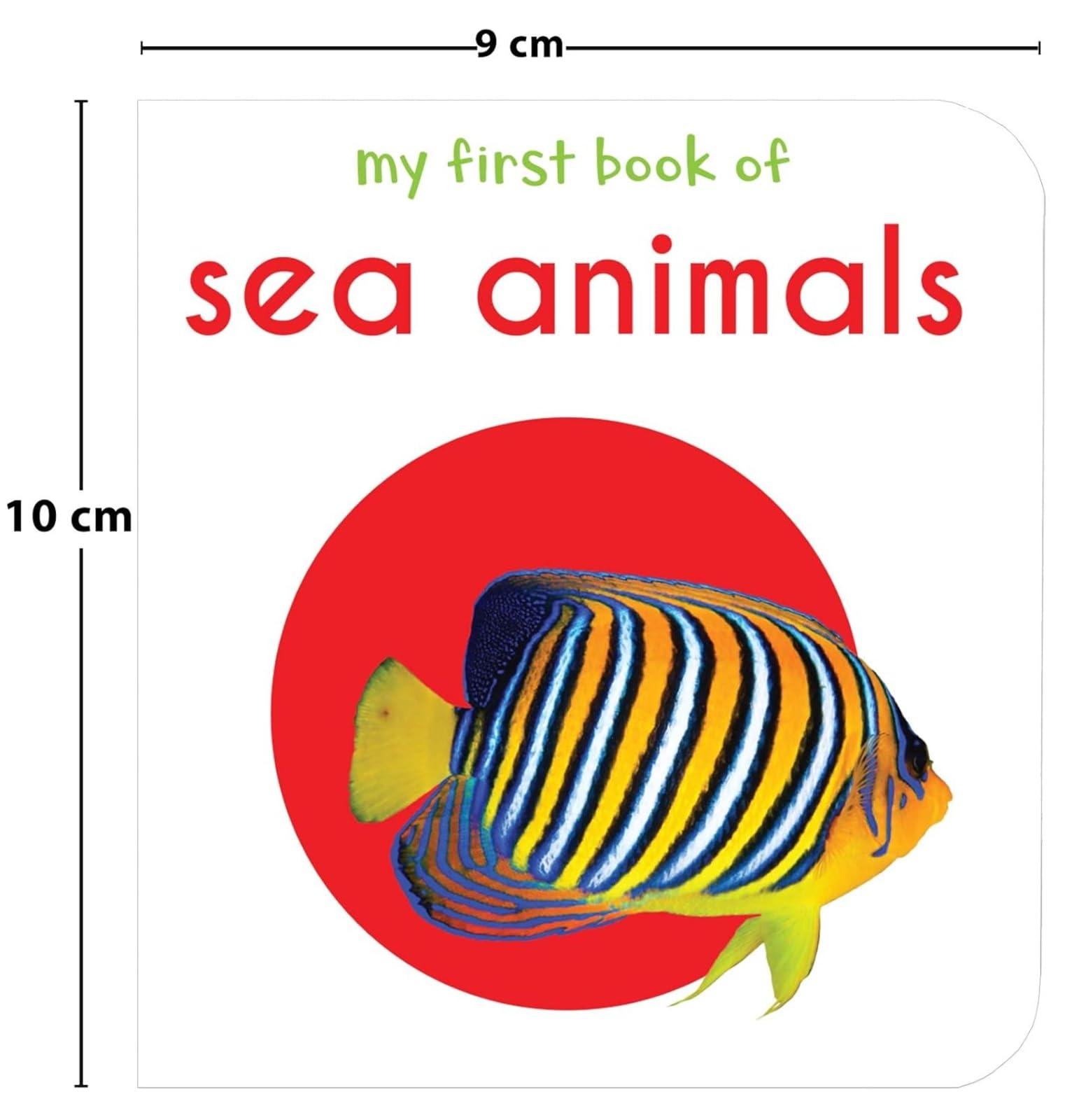 My First Library: Boxset of 10 Board Books for Kids - Image 6