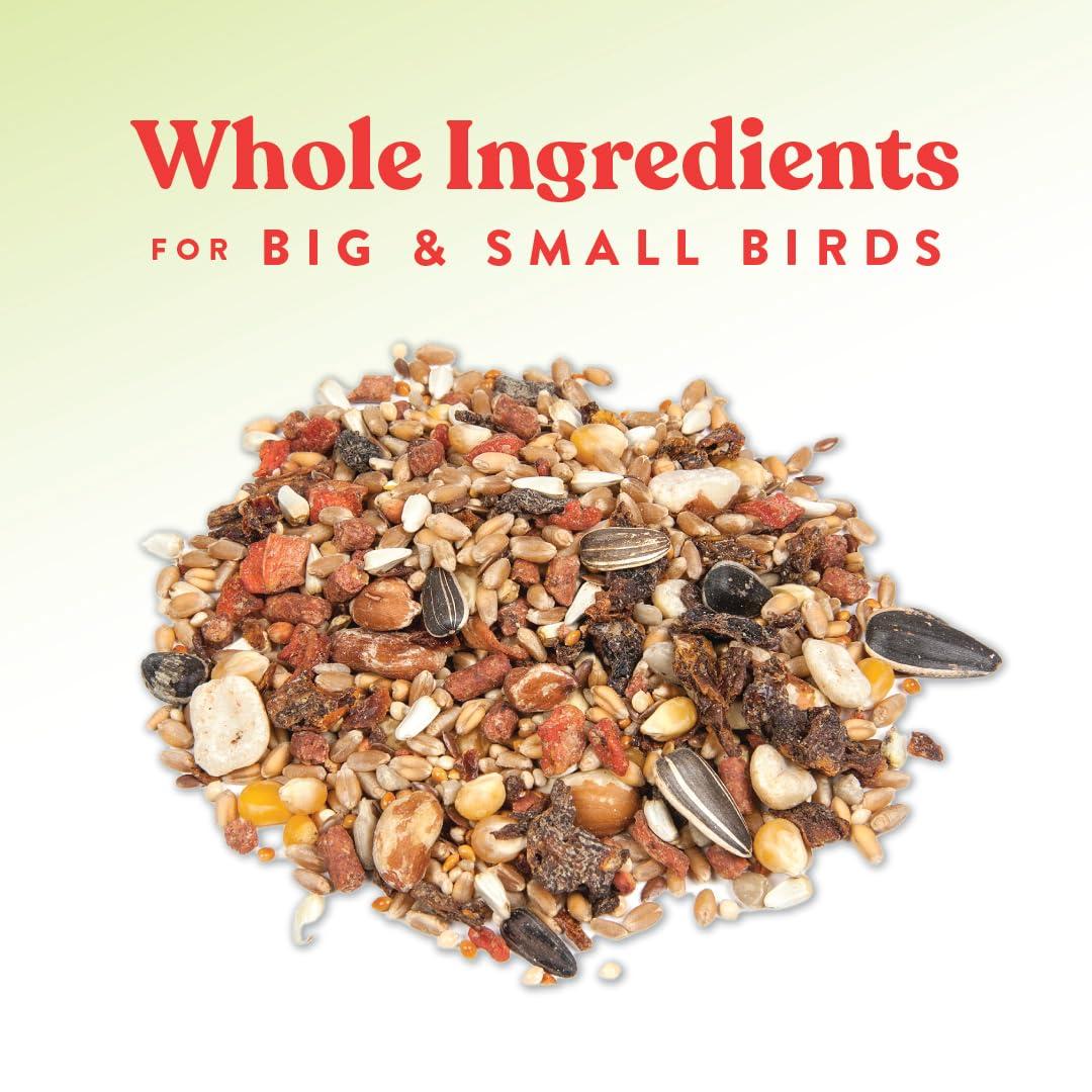 Manna Pro Harvest Delight - Whole Ingredient Chicken Treat - Harvest Mix of Grains, Raisins, Tomatoes, Carrots, Sunflower Seeds - Mixed Flock Poultry Treat - 2.5 lbs - Image 4