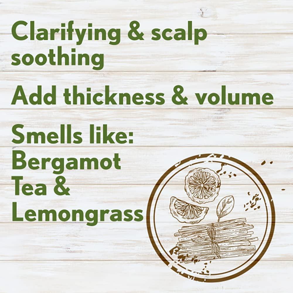 Aveeno Fresh Greens Shampoo + Conditioner with Rosemary, Peppermint & Cucumber to Thicken & Nourish, Clarifying & Volumizing Shampoo for Thin or Fine Hair, Paraben-Free, 12 Fl Oz, 2 Count (Pack of 1) - Image 6