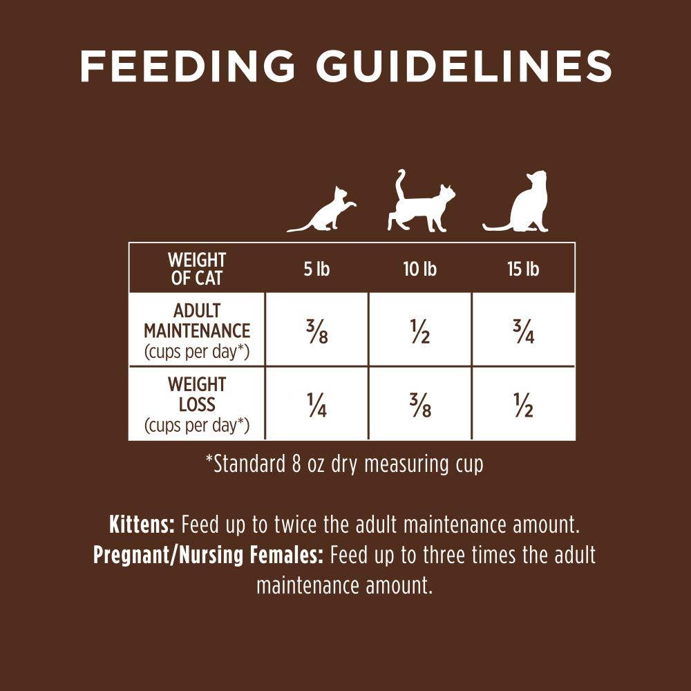 Original Chicken Dry Cat Food, 11 lb. Bag - Image 12