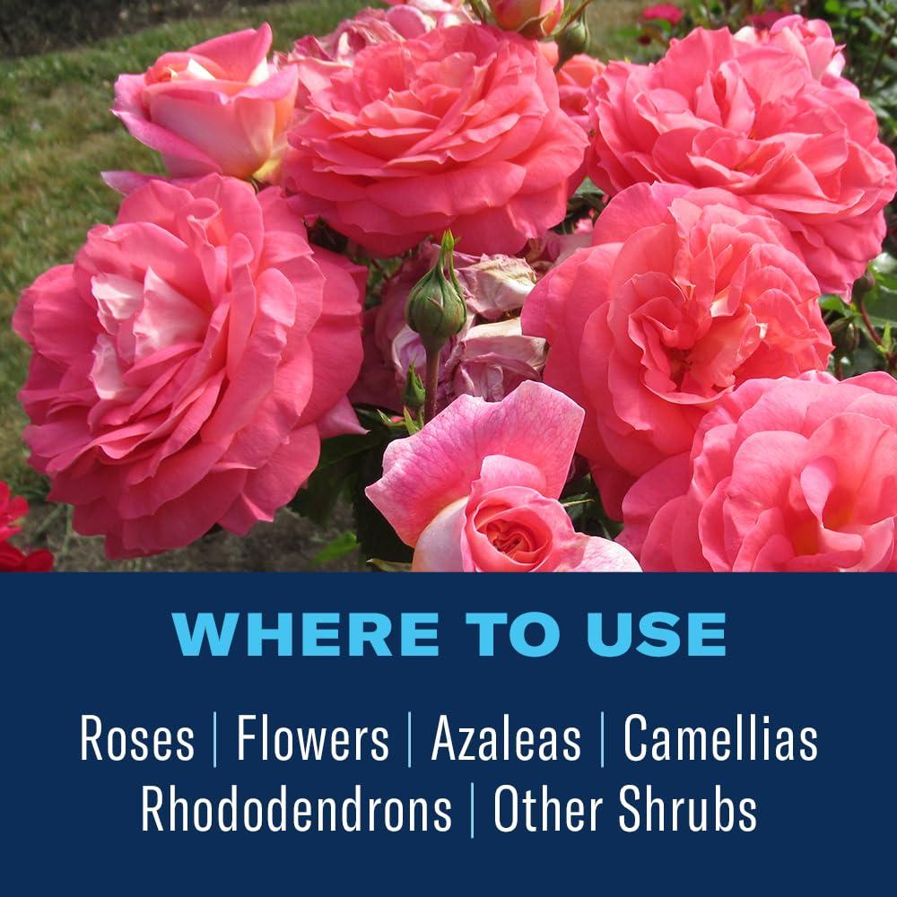 BioAdvanced All-In-One Rose and Flower Care Fertilizer, Granules, 4 lb - Image 5