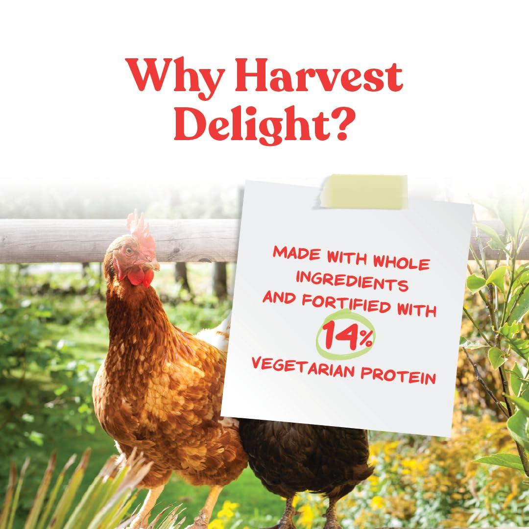 Manna Pro Harvest Delight - Whole Ingredient Chicken Treat - Harvest Mix of Grains, Raisins, Tomatoes, Carrots, Sunflower Seeds - Mixed Flock Poultry Treat - 2.5 lbs - Image 3