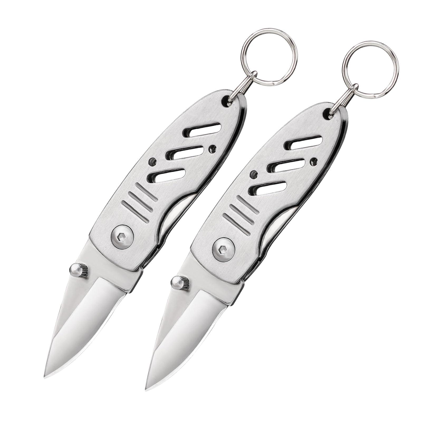 BARRYSAIL Mini Keychain Knife, 2pcs Small Folding Pocket Knives with Liner Lock, 1.6 Inch Blade, Every Day Carry Tool for Father's Day Gift (Silver)