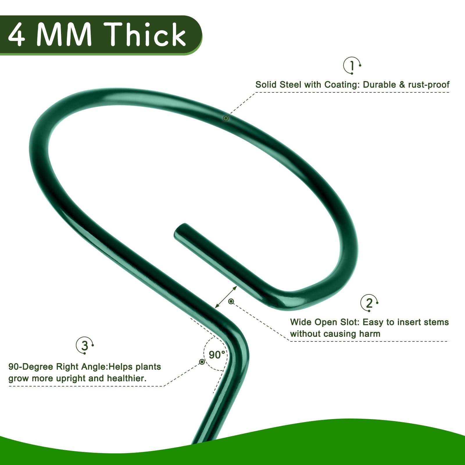 FEED GARDEN 16 Inch 12 Pack Plant Support Stakes, Metal Garden Flower Stakes and Supports for Outdoor Plants, Plant Stem Support with 24 Twist Ties for Amaryllis Lily Rose Peony Tomatoes Gladiolus - Image 3