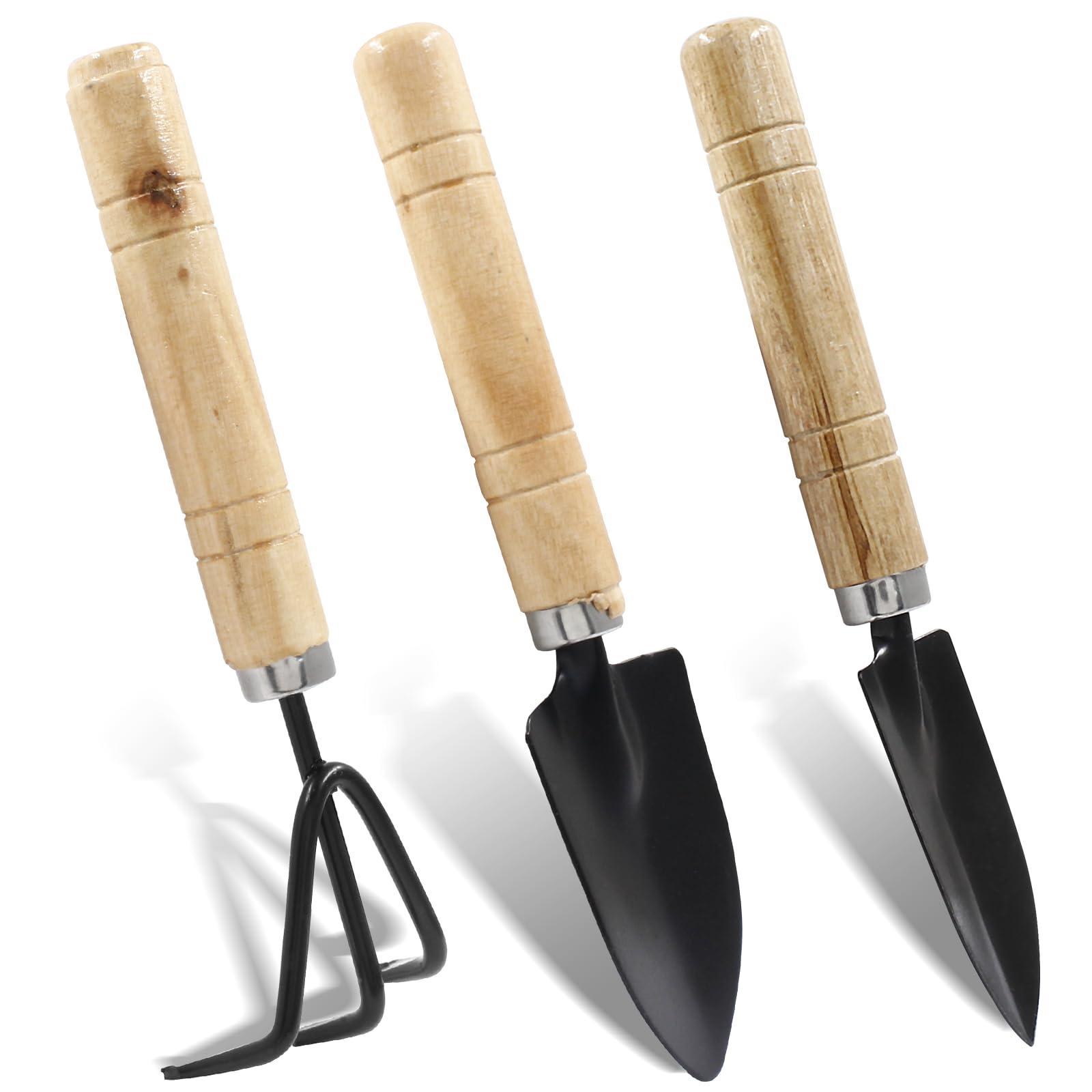 Waziaqoc 3Pcs Mini Garden Tools, Small Indoor Gardening Tools Includes Hand Shovel, Transplant Spade, Hand Rake with Wood Non Slip Handle for Plant Succulent, Flower, Vegetables - Image 5