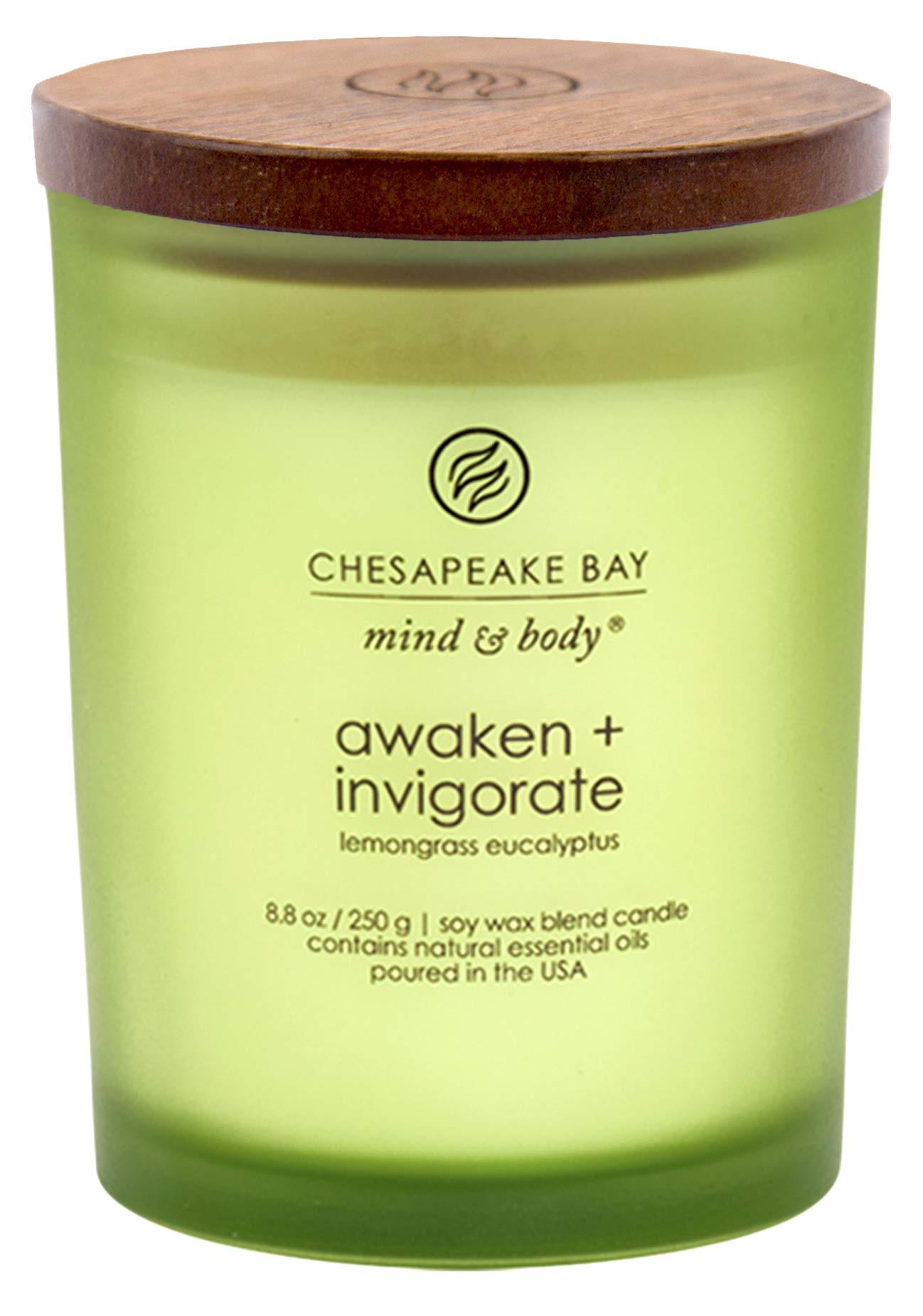 Chesapeake Bay Candle PT40886 Scented Candle, Awaken + Invigorate (Lemongrass Eucalyptus), Medium , Green, Home Décor