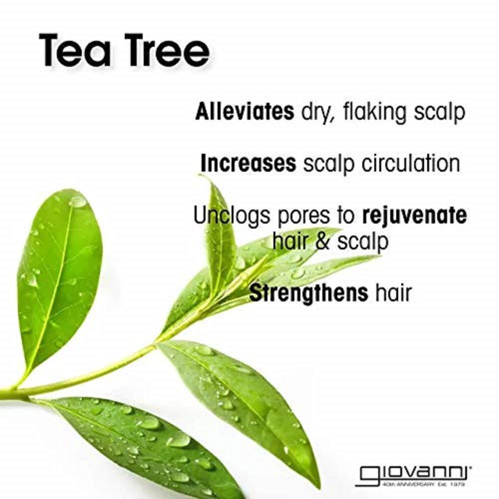 GIOVANNI Tea Tree Triple Treat Invigorating Conditioner, 8.5 oz. - Cooling Peppermint, Eucalyptus, Rosemary, Helps Dry Flaking Scalp, Lauryl and Laureth Sulfate Free, Paraben Free - Image 3