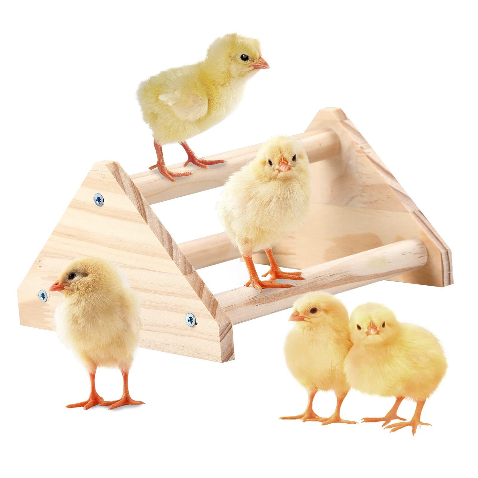 GINTUTO Chicken Perch Strong Pine Wooden Chick Jungle Gym Roosting Bar, Chick Perch Toys for Coop and Brooder for Large Bird Baby Chicks Parrot (Small)