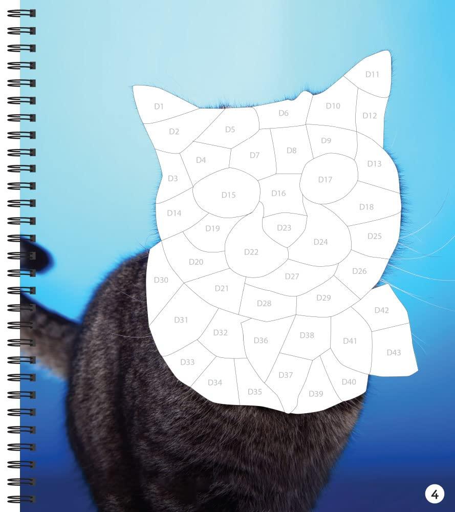 Brain Games - Sticker by Number: Cat-itude (25 Images to Sticker) - Image 3