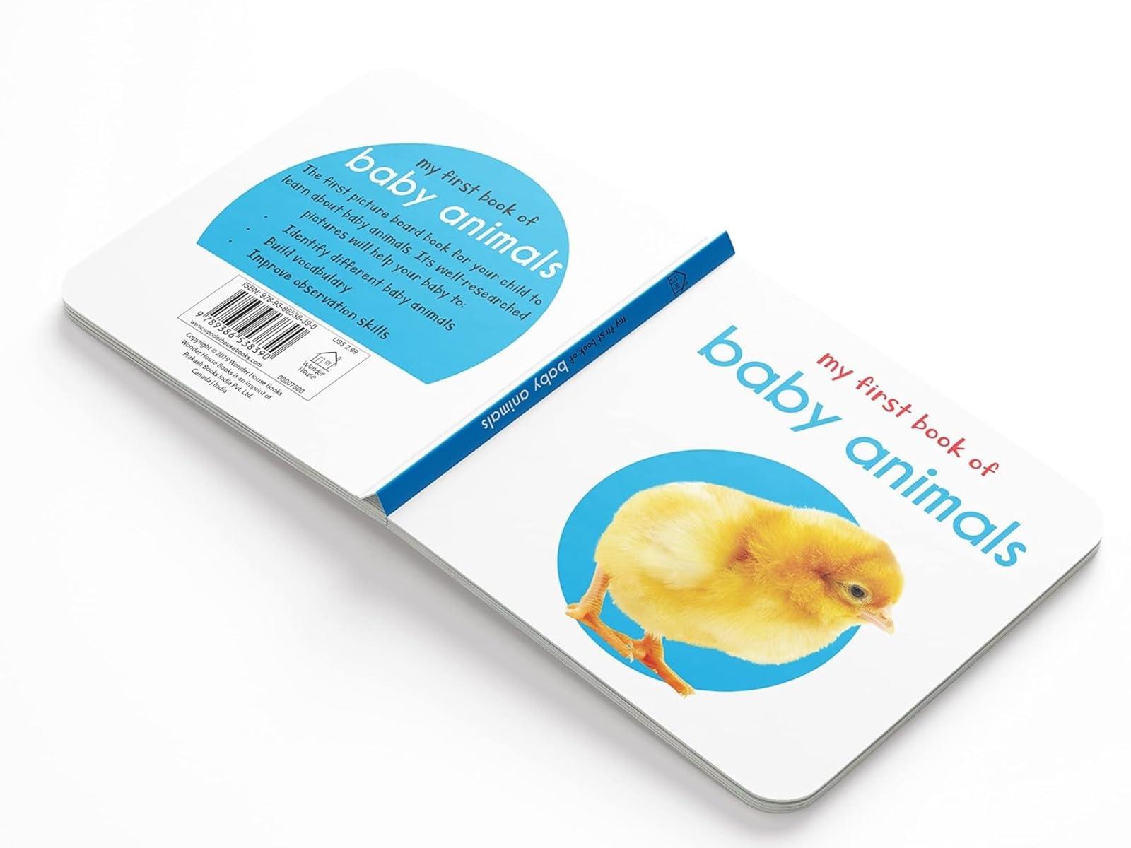 My First Library: Boxset of 10 Board Books for Kids - Image 7