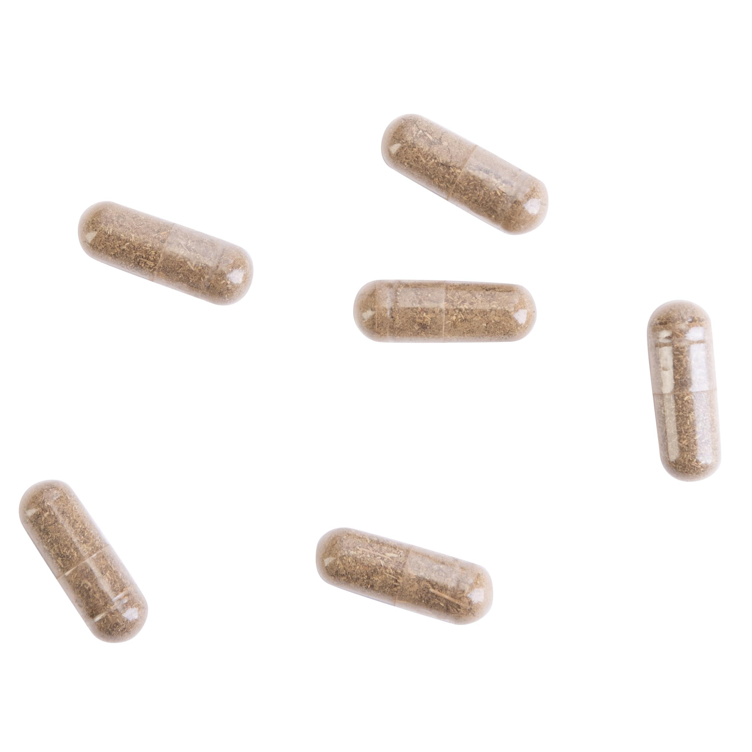 Kroeger Herb Products, Wormwood Herb, Black Walnut, Clove, Quassia, Worm Wood Detox Cleanse - Vegetarian Capsules, Non-GMO, Gluten Free, No Preservatives or Fillers - 100 Capsules, Made in USA - Image 6
