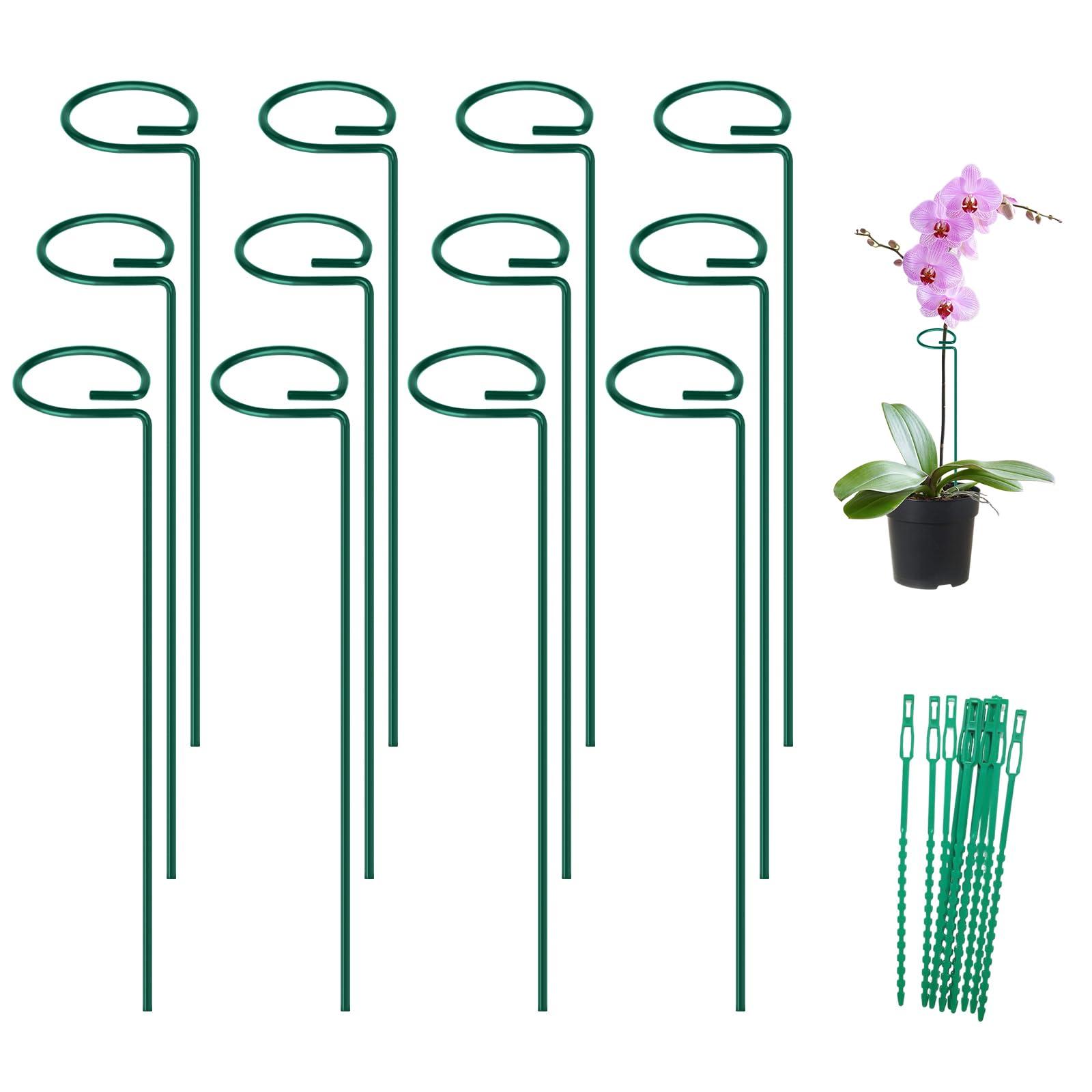 FEED GARDEN 16 Inch 12 Pack Plant Support Stakes, Metal Garden Flower Stakes and Supports for Outdoor Plants, Plant Stem Support with 24 Twist Ties for Amaryllis Lily Rose Peony Tomatoes Gladiolus