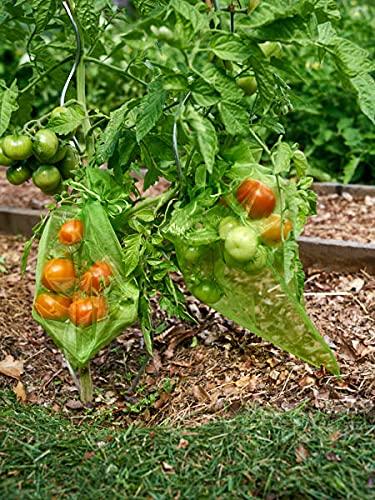 Miuezuth 50PCS Fruit Protection Bags,7x5'' Green Netting Bags for Fruit Trees, Garden Fruit Cover Mesh Bags with Drawstring for Plant Fruit Flower and Vegetables - Image 6
