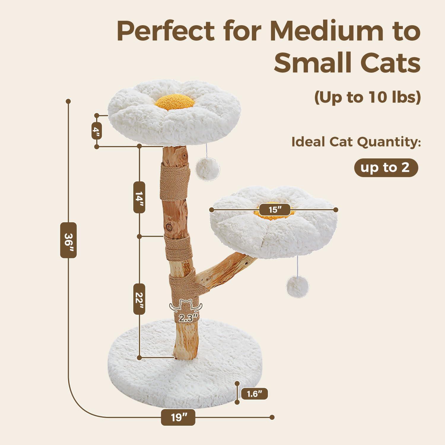 MUTTROS Wood Flower Cat Tree, Modern Cat Tower with Real Wood Branches, Luxury Boho Furniture with Scratching Post and 2 Perches, Cat Climbing Tower for Indoor Cats, Cloud White - Image 7
