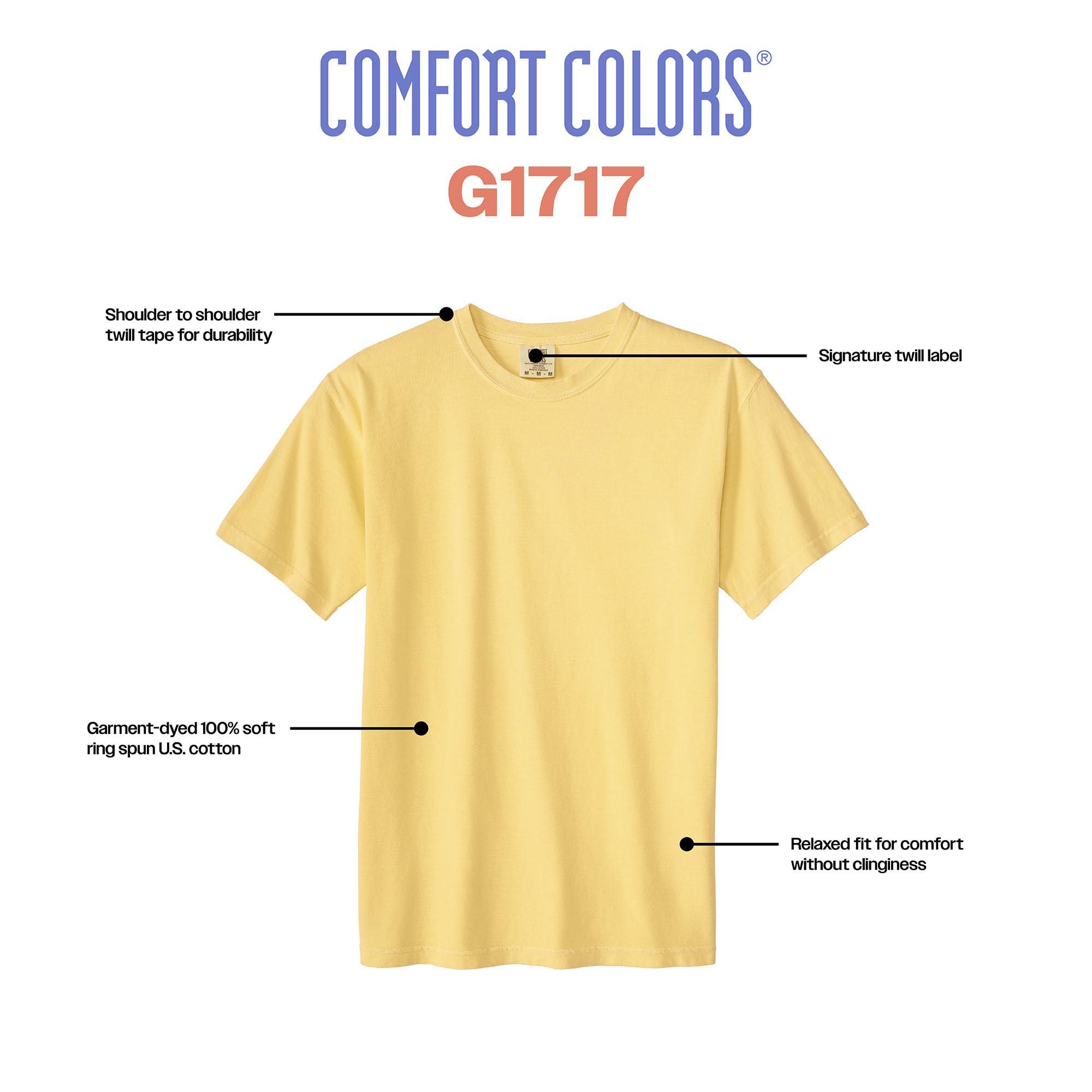 Comfort Colors Adult Heavyweight Short Sleeve Tee, Style G1717/G1745, Multipack - Image 2