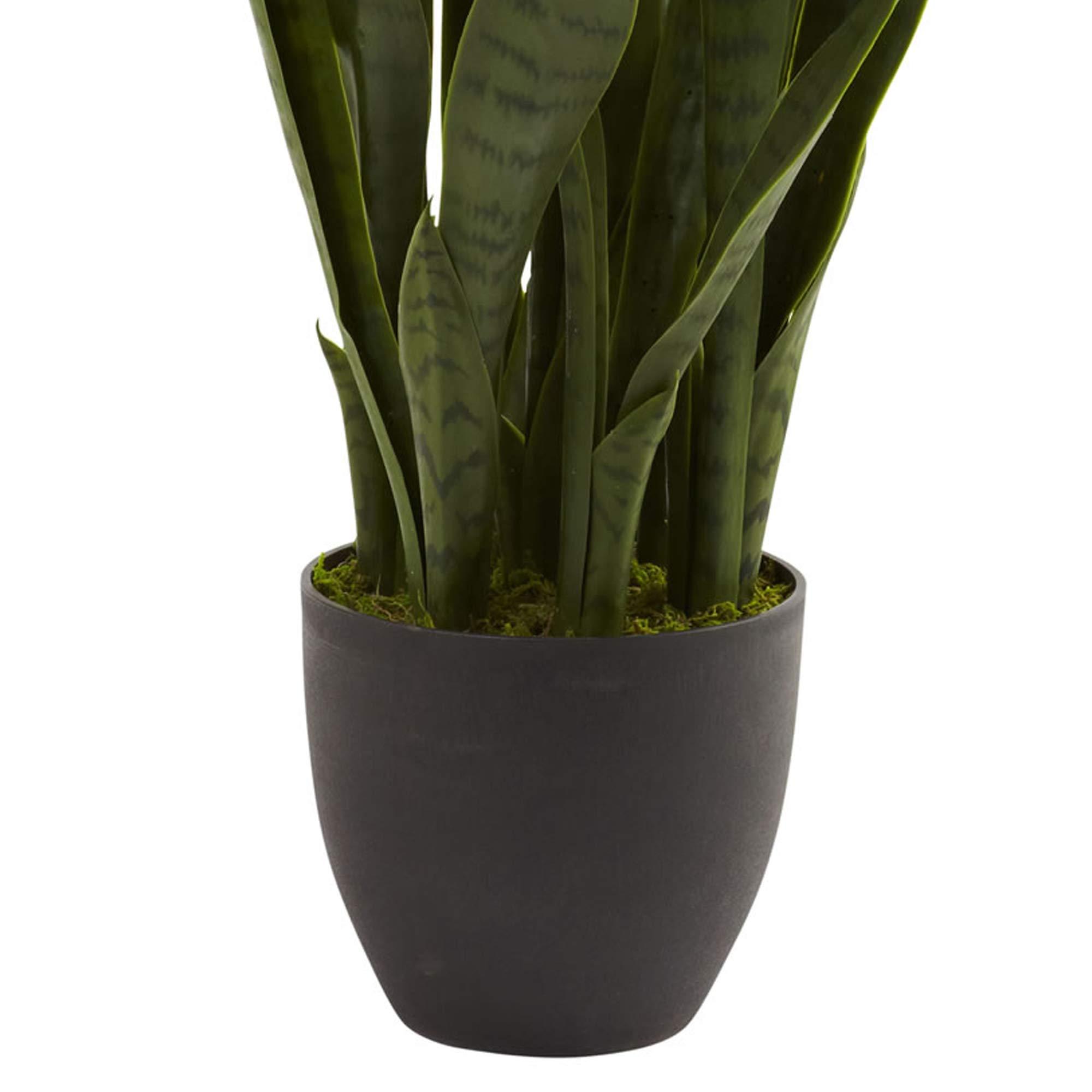 Nearly Natural, Green 4855 35in. Sansevieria with Black Planter - Image 6