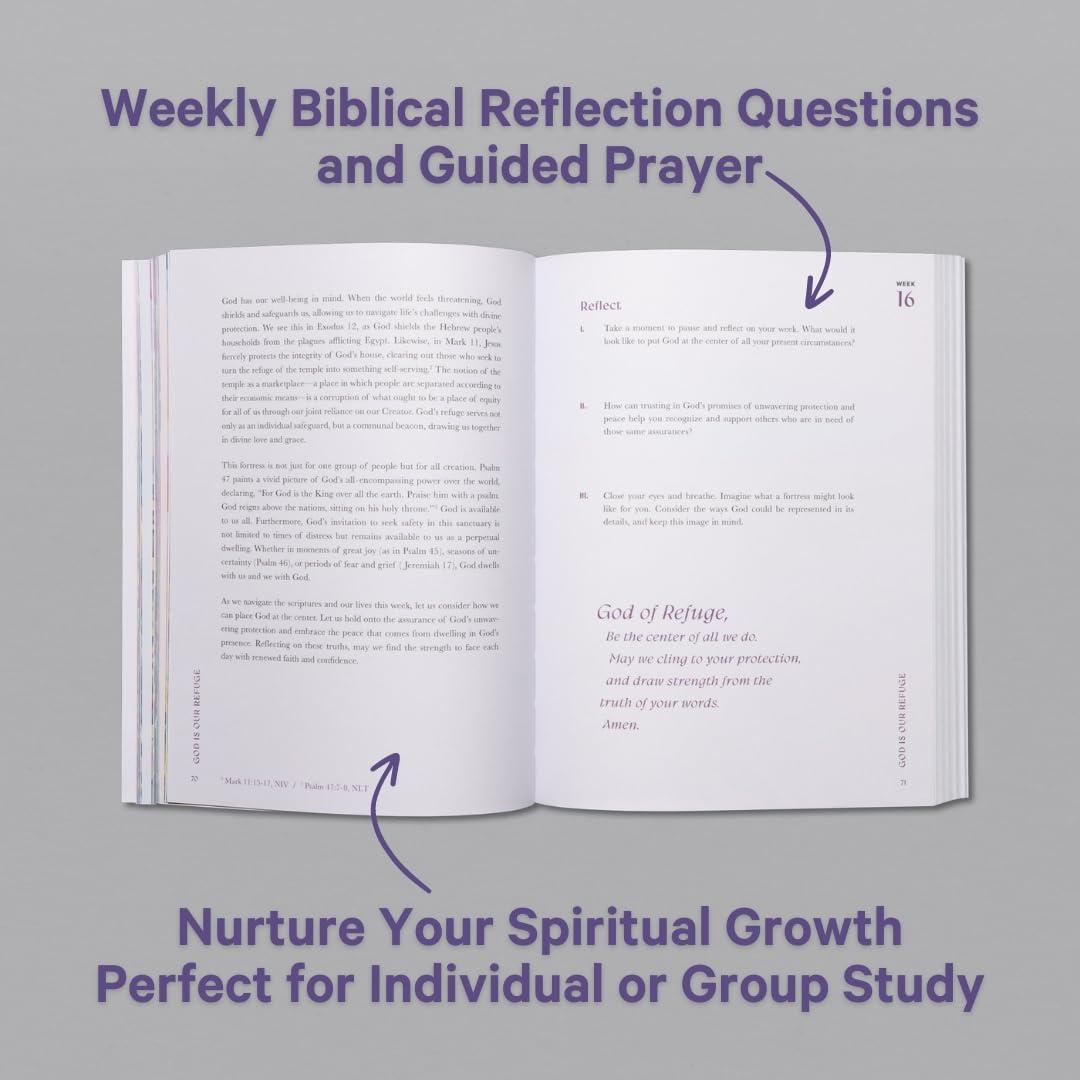 A Beautiful Year in the Bible: The 52-Week Bible Study for Women - Image 3