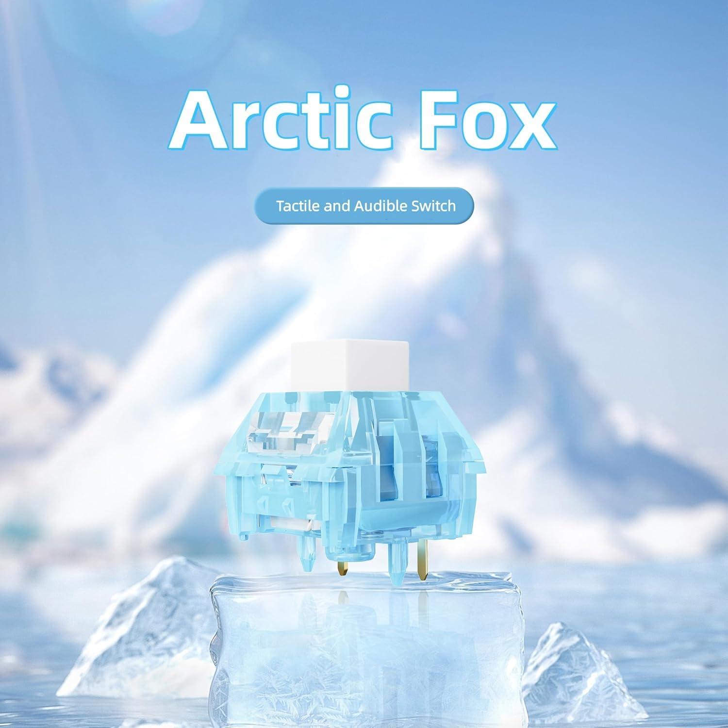 Kailh Arctic Fox Switch Clicky Mechanical Switch Clickies Alternative to Box Jade Box Navy for Mechanical Gaming Keyboard, 5-Pin Switches (35 Pcs) - Image 4