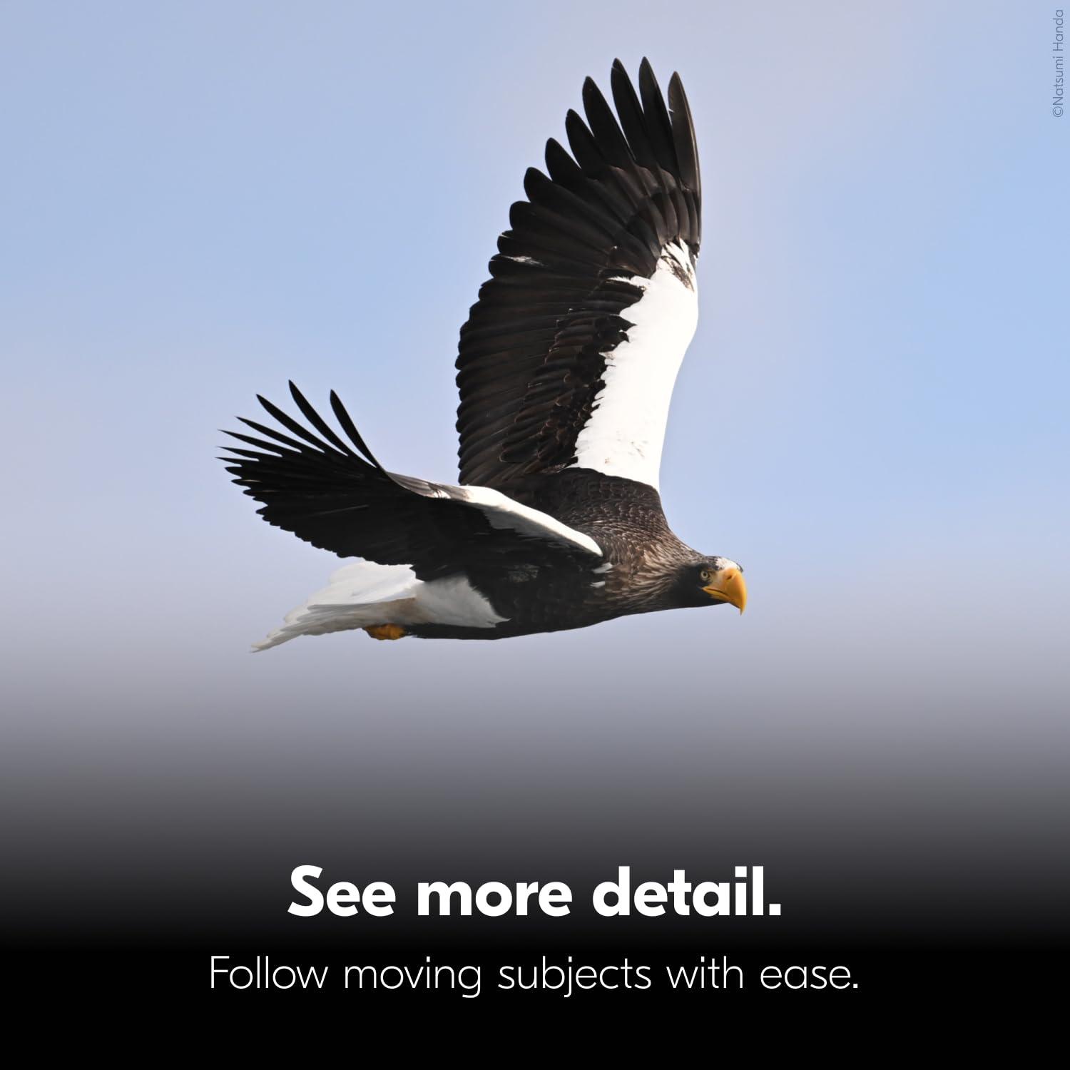 Nikon STABILIZED 10x25 Binocular | Optical Image Stabilization Delivers a Clear, Blur-Free View and Reduces Eye Strain with 10x Magnification - Image 5