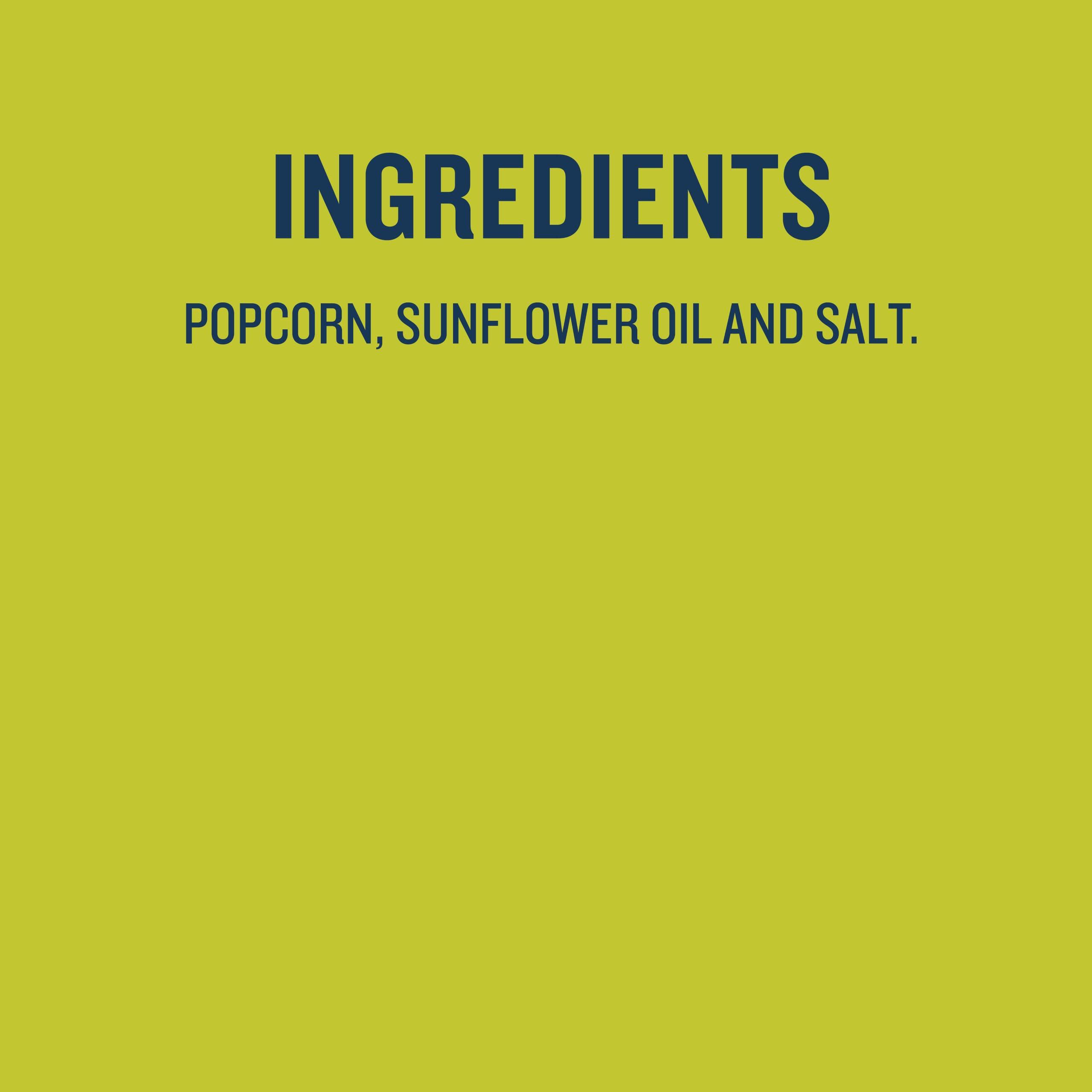 SkinnyPop Original Popcorn, 4.4oz Grocery Size Bags, Skinny Pop, Healthy Popcorn Snacks, Gluten Free (Pack of 4) - Image 10