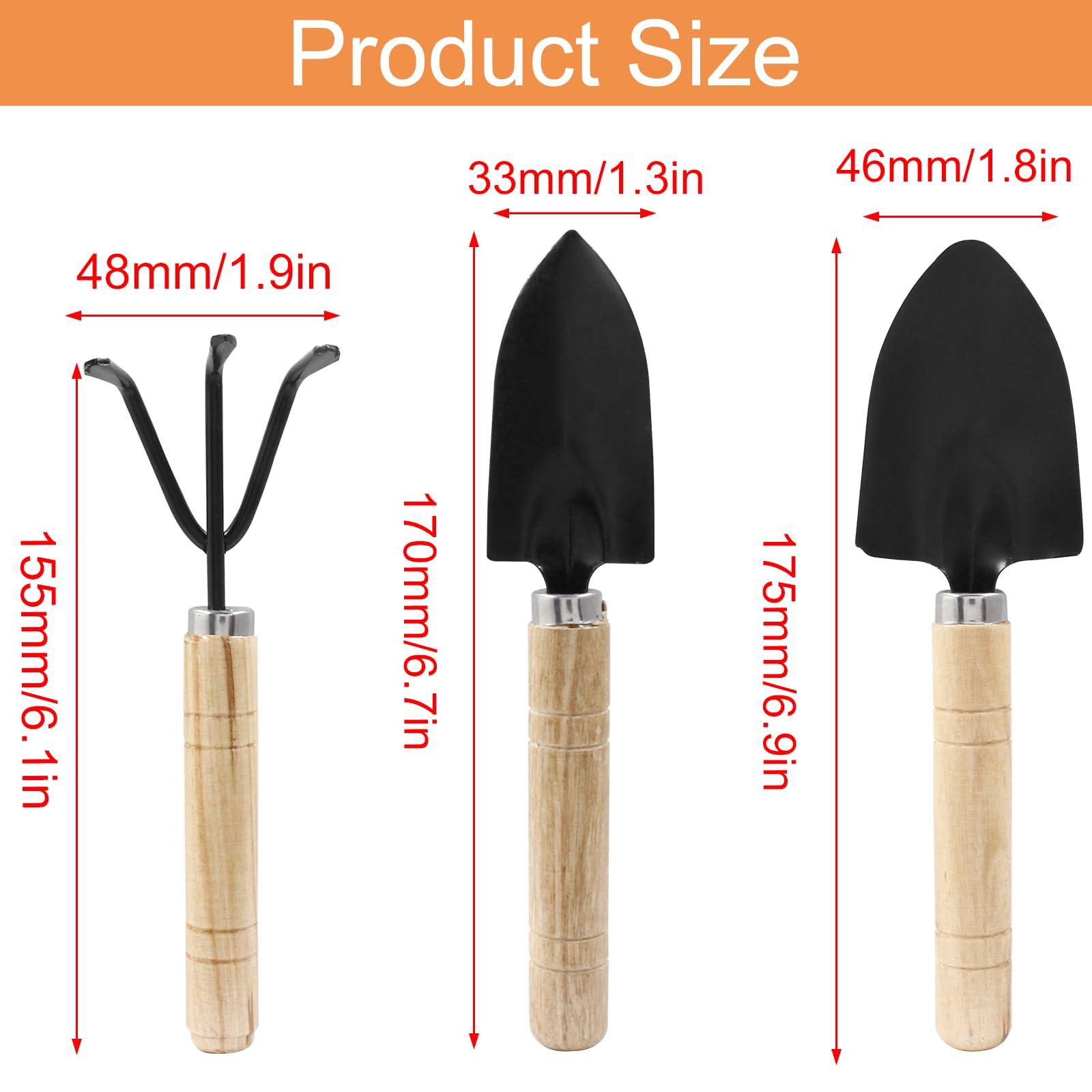 Waziaqoc 3Pcs Mini Garden Tools, Small Indoor Gardening Tools Includes Hand Shovel, Transplant Spade, Hand Rake with Wood Non Slip Handle for Plant Succulent, Flower, Vegetables - Image 2