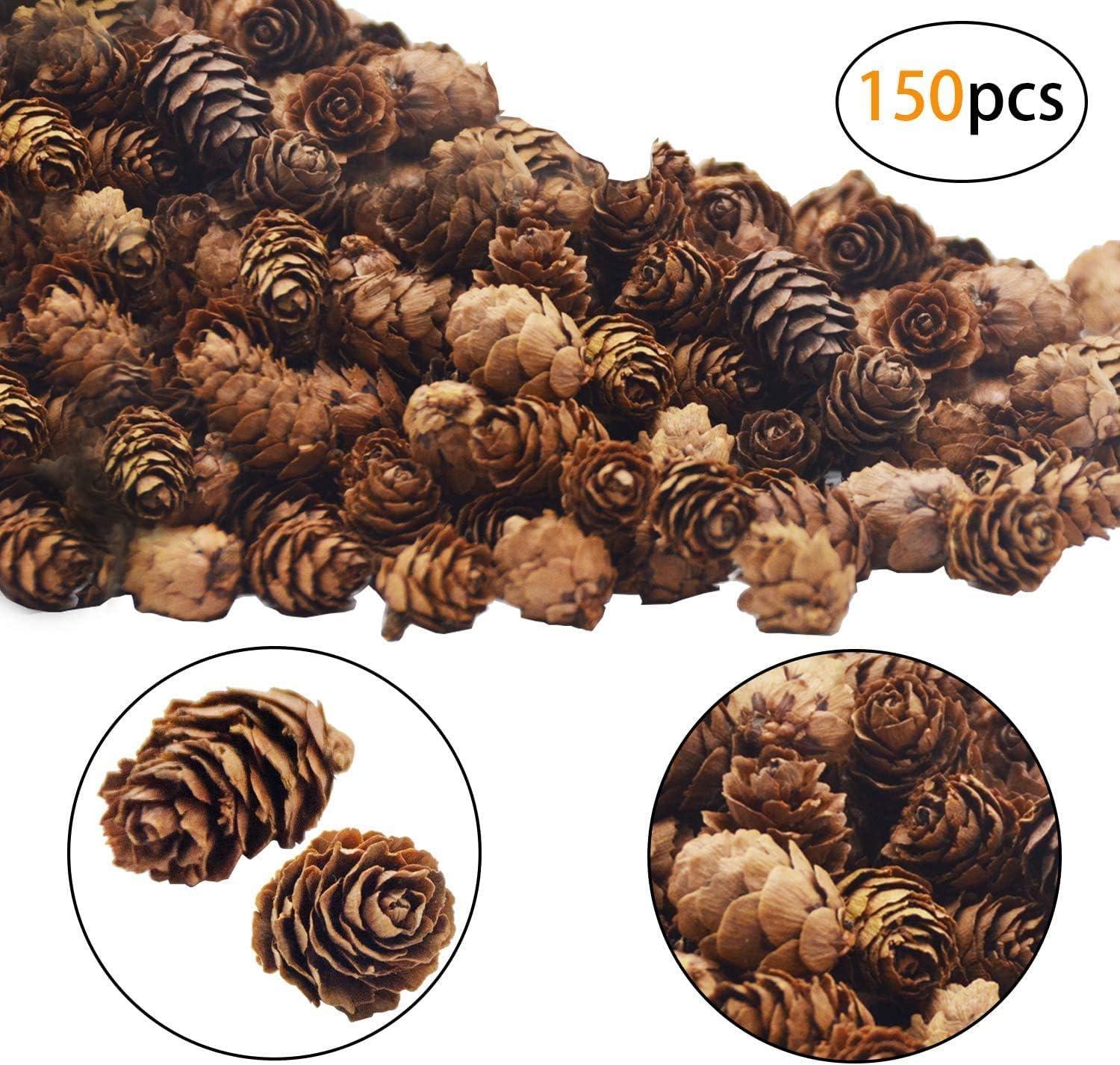 Deloky 150 Pcs Christmas Natural Mini Pine Cones- 2CM Thanksgiving Small Pinecones Ornaments Vase Fillers for DIY Crafts, Home Decorations, Fall and Christmas, Wedding Decor - Image 7
