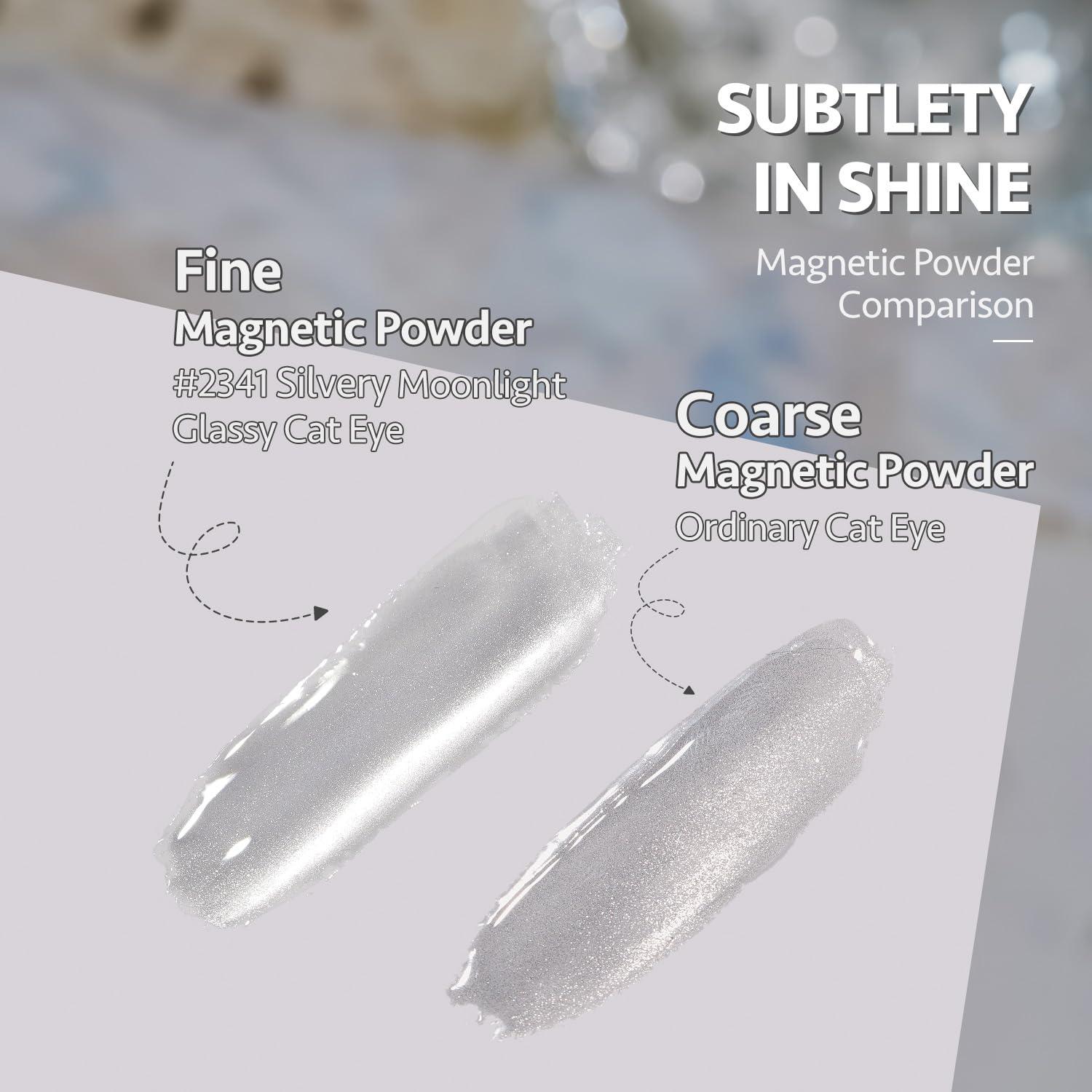 GAOY Glassy Cat Eye Holographic Gel Polish, 16ml Glitter Reflective Translucent UV, 2341 Silvery Moonlight - Image 2