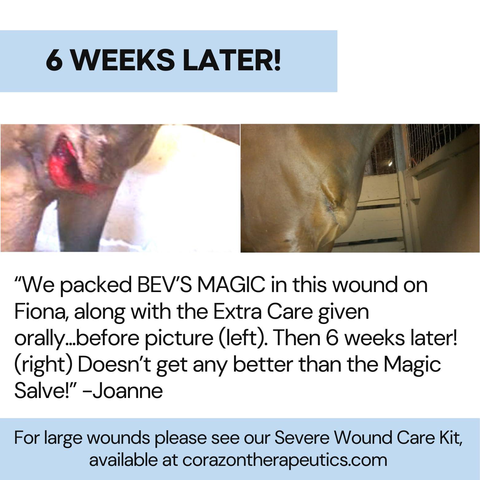 Wound Salve - for Horses, Pets, Livestock & People - Calendula, Shields Abrasions, Stops Infections, Promotes Scabbing, Reduces Inflammation & Scarring, Vet-Approved - Bev's Magic Salve (6 oz) - Image 9