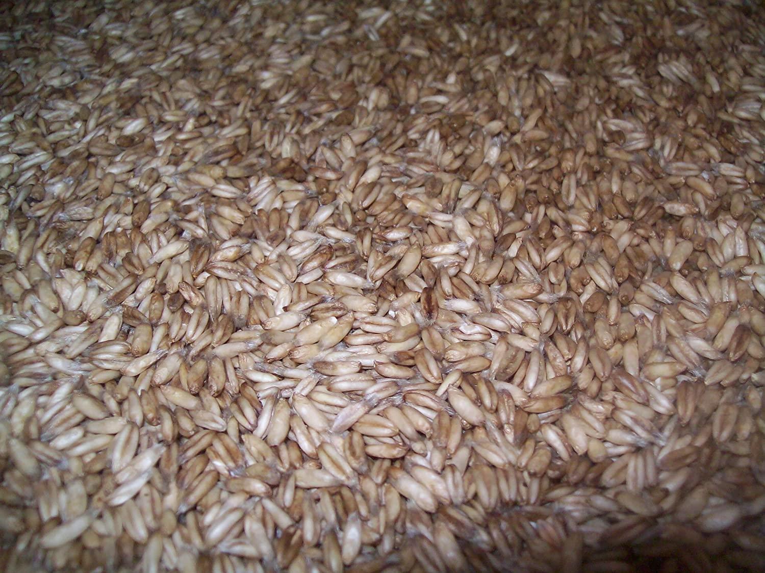 Whole Oat Groats: Raw Hulless Organic Oats, Farmer Direct, 2.5 lbs. - Image 2